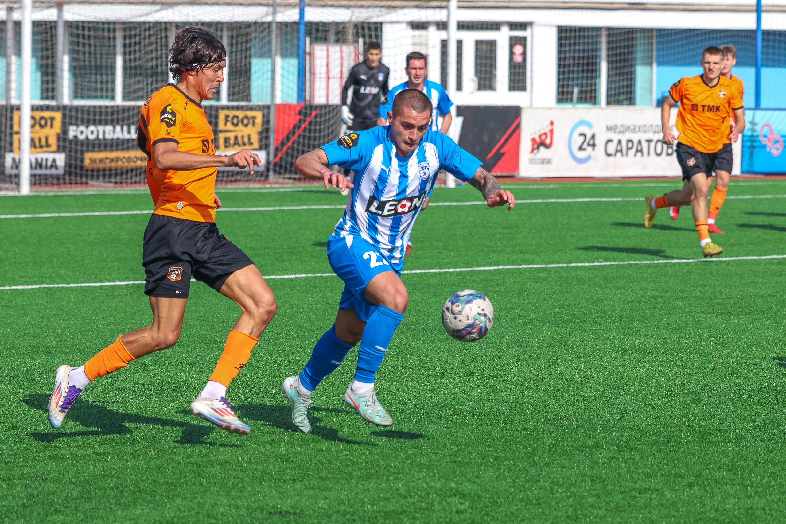 Сокол. ФНЛ. Фотограф Дмитрий Алексеев