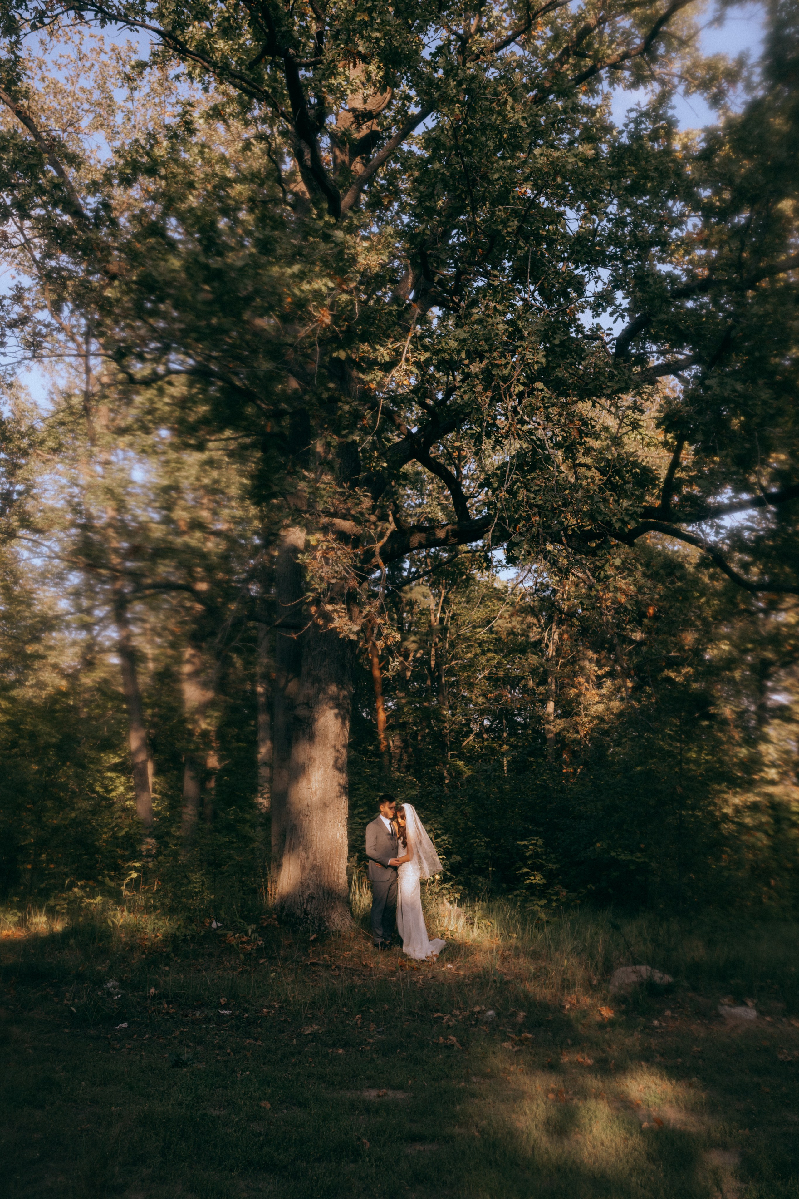 Свадьба Лес. Свадебный фотограф Казань