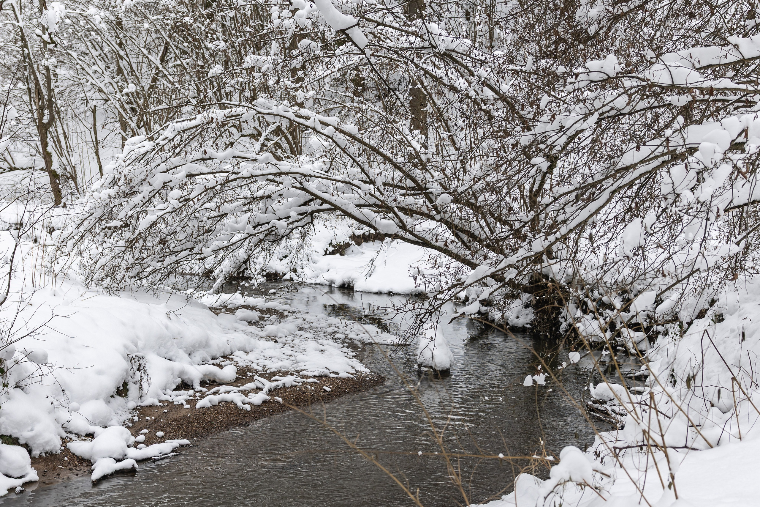 Природа. Фотограф Владимир Охрименко