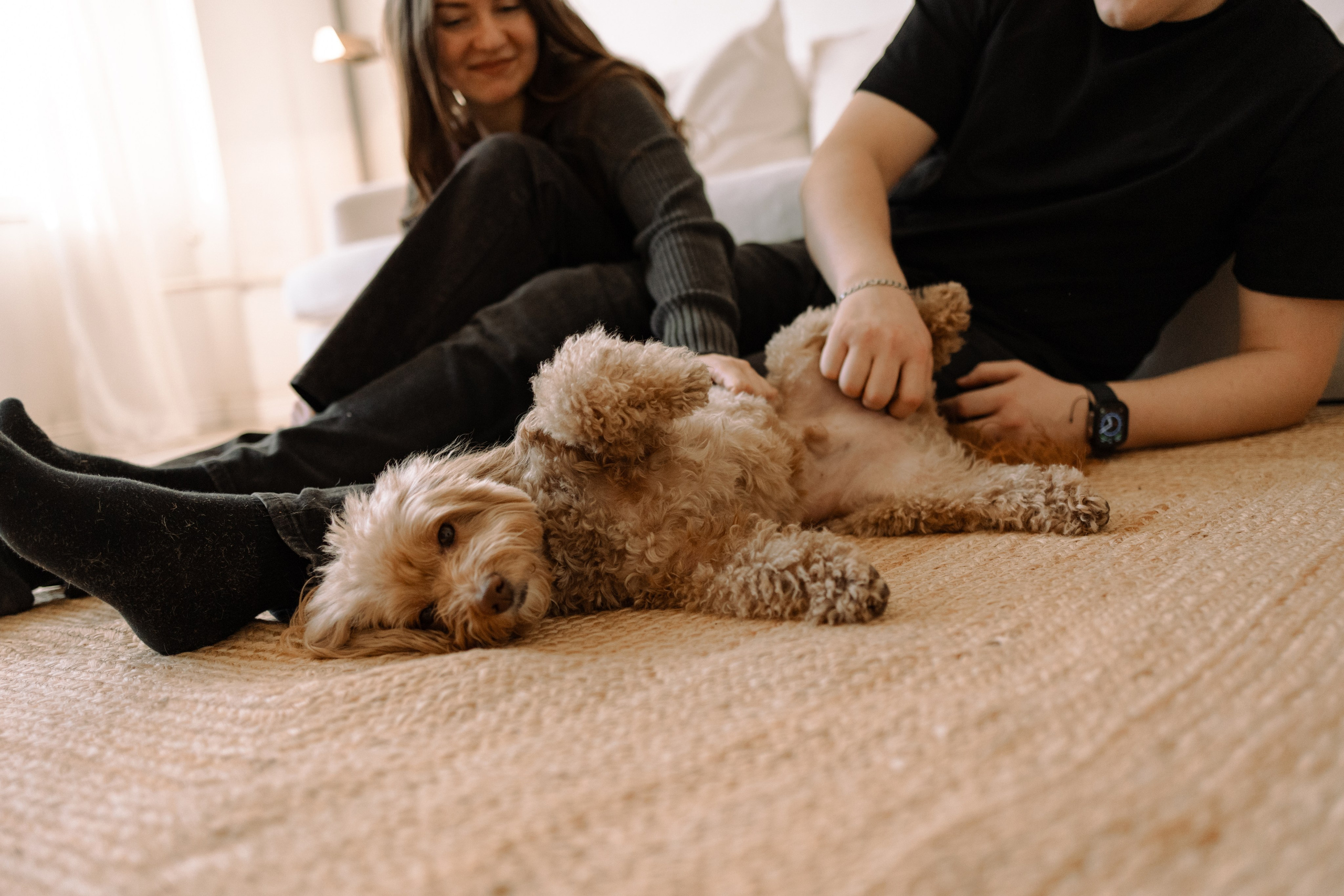 Шкипер и его семья. Фотограф — Анималист | Санкт-Петербург