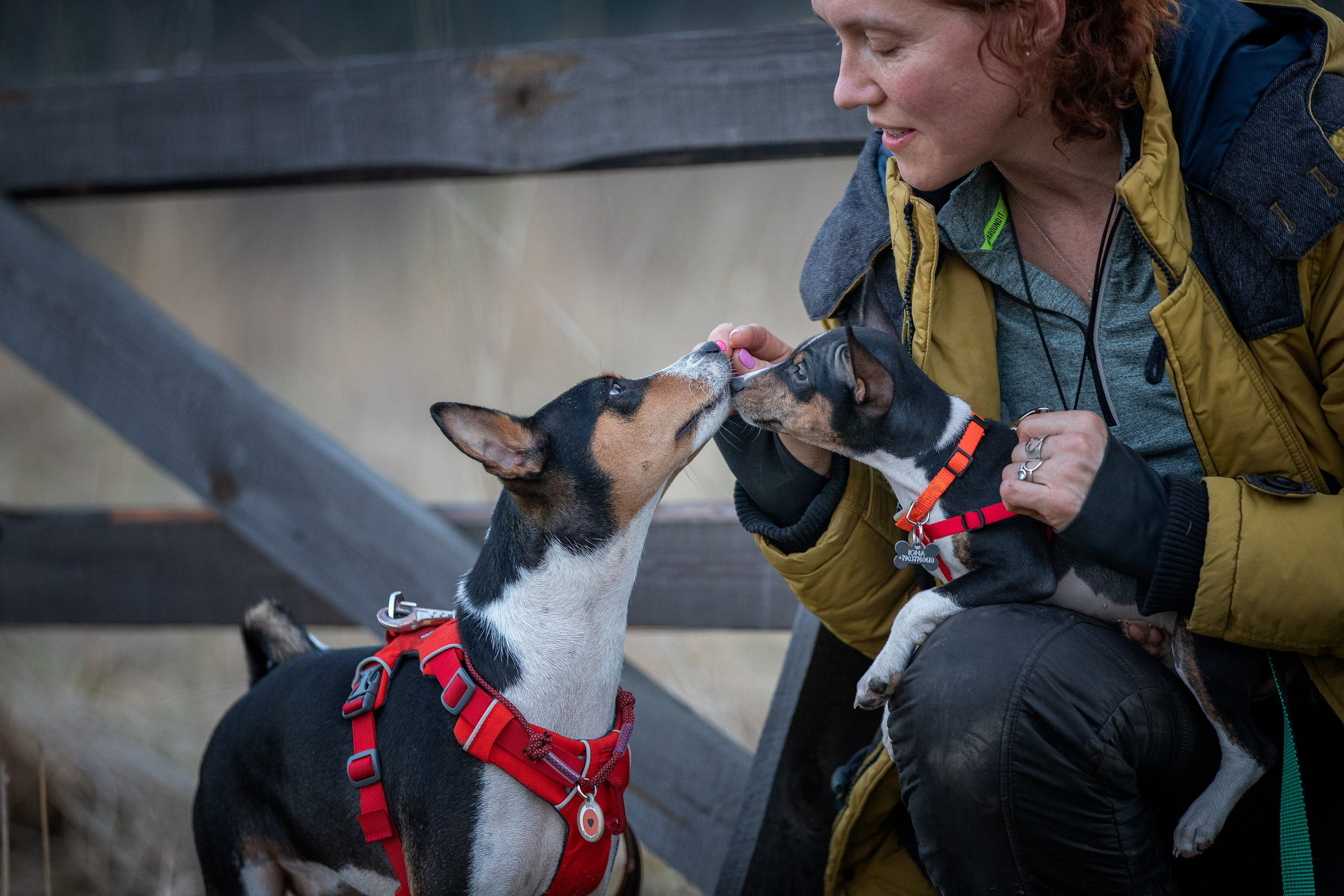 Олеся, Баста и Юна. Фотограф-анималист в Калуге Мария Шерскова