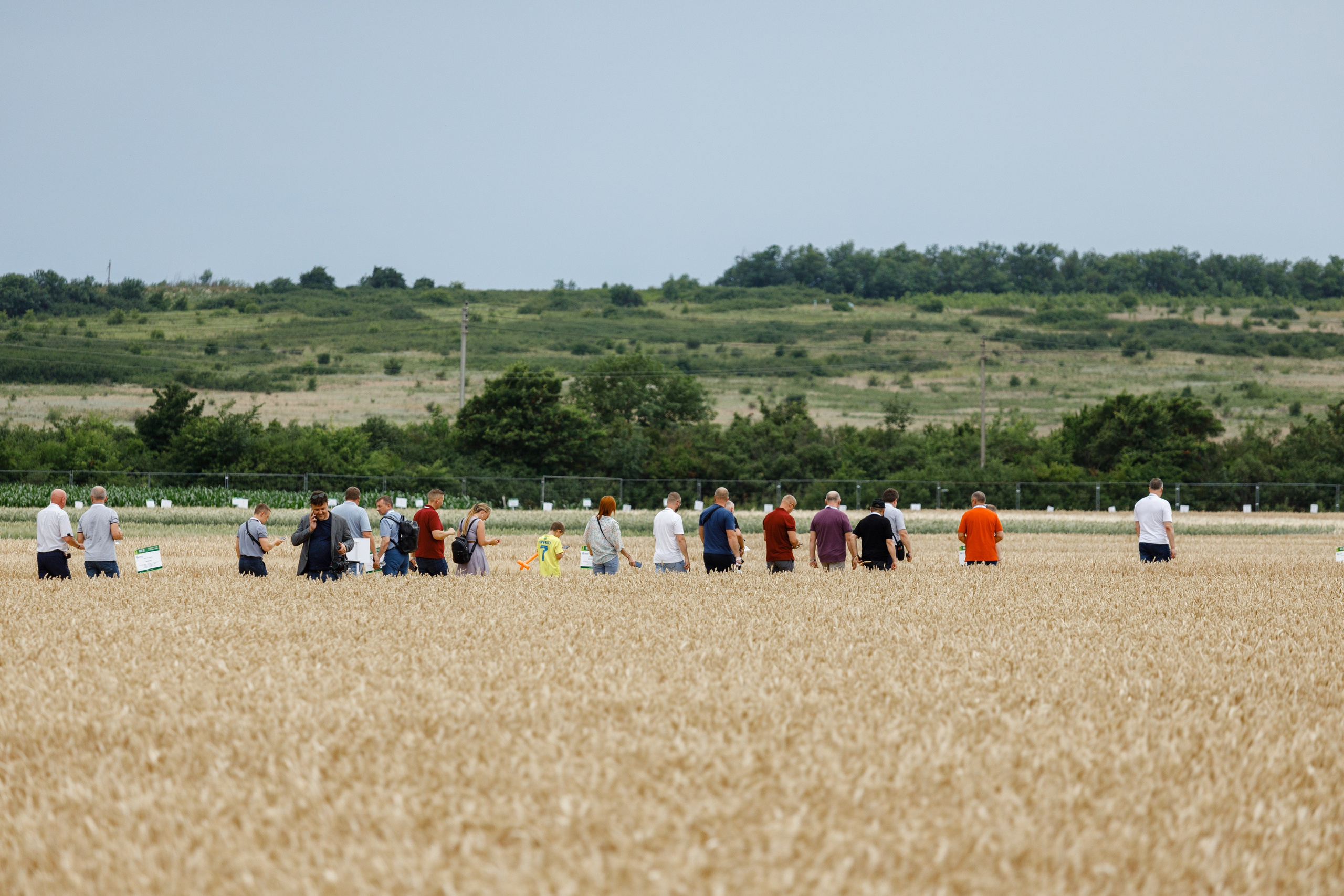 День Поля 2024 Мин-Воды ЭКСПО. Фотограф Ставрополь Петр Голубенко