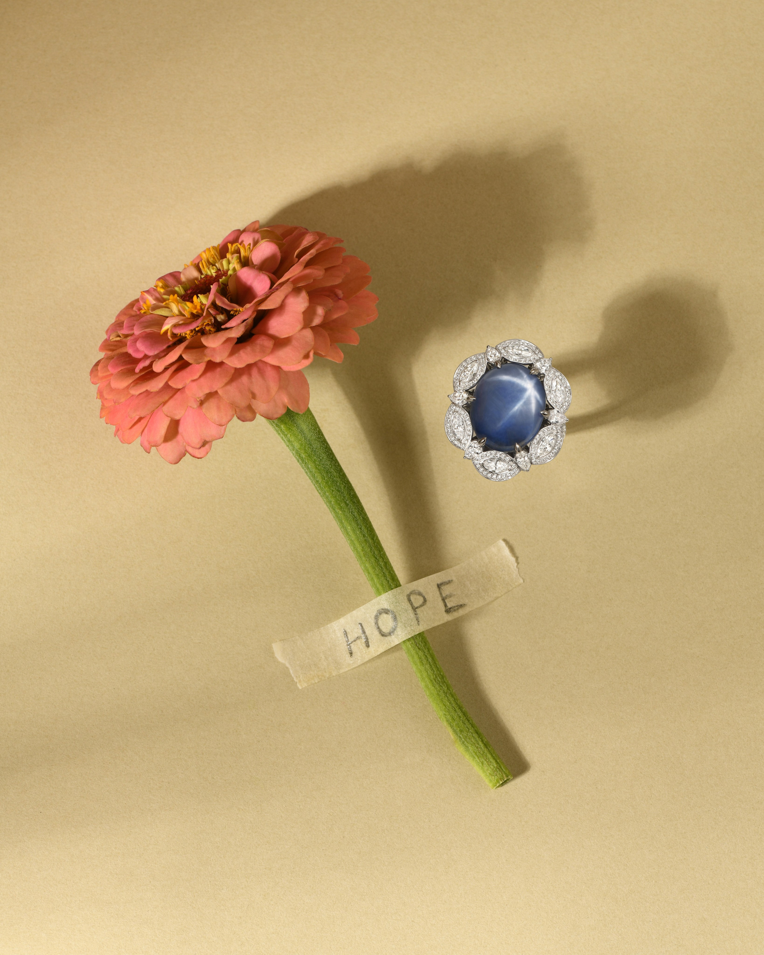 съемка ювелирных изделий цена