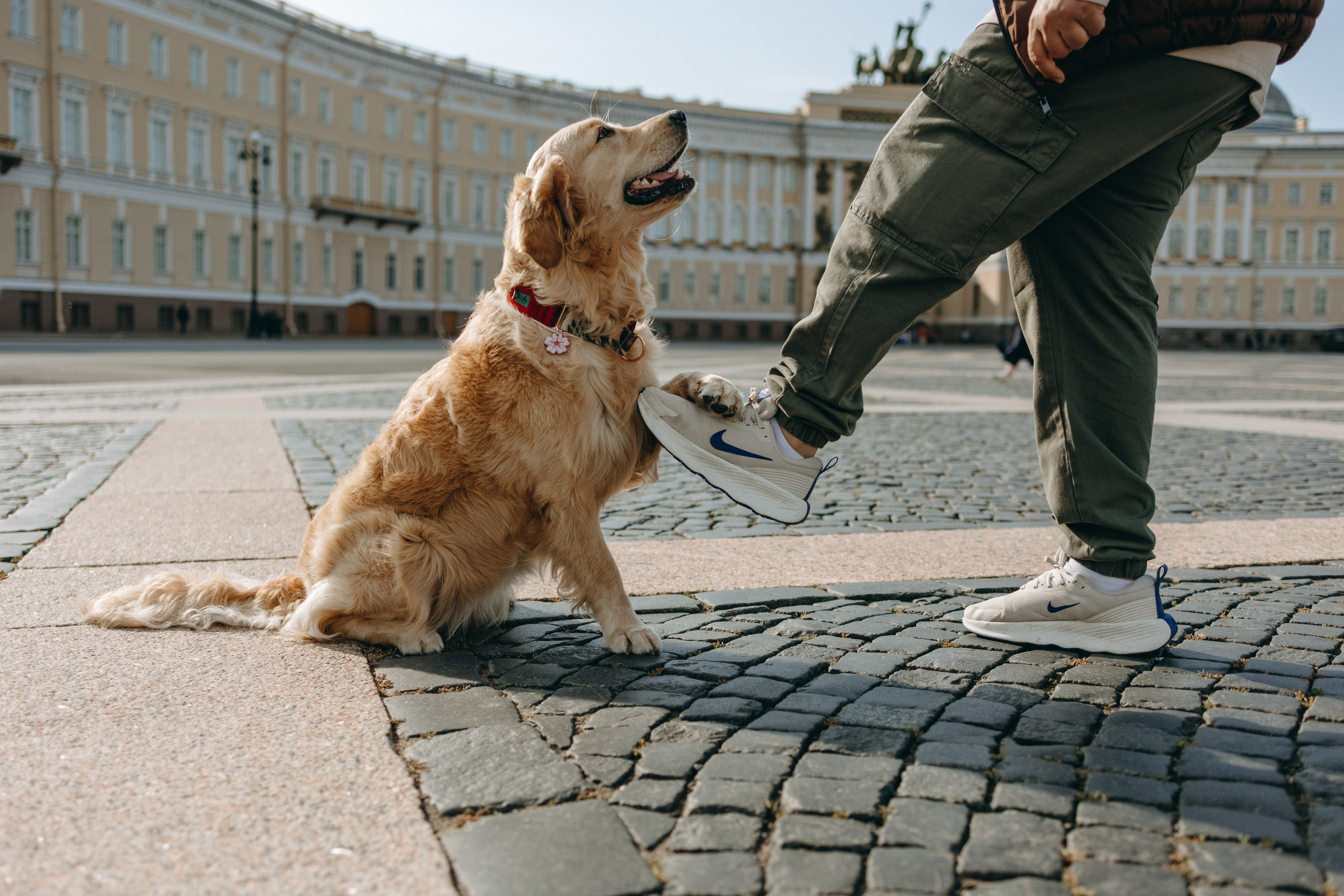 Бетти и ее семья. Фотограф — Анималист | Санкт-Петербург