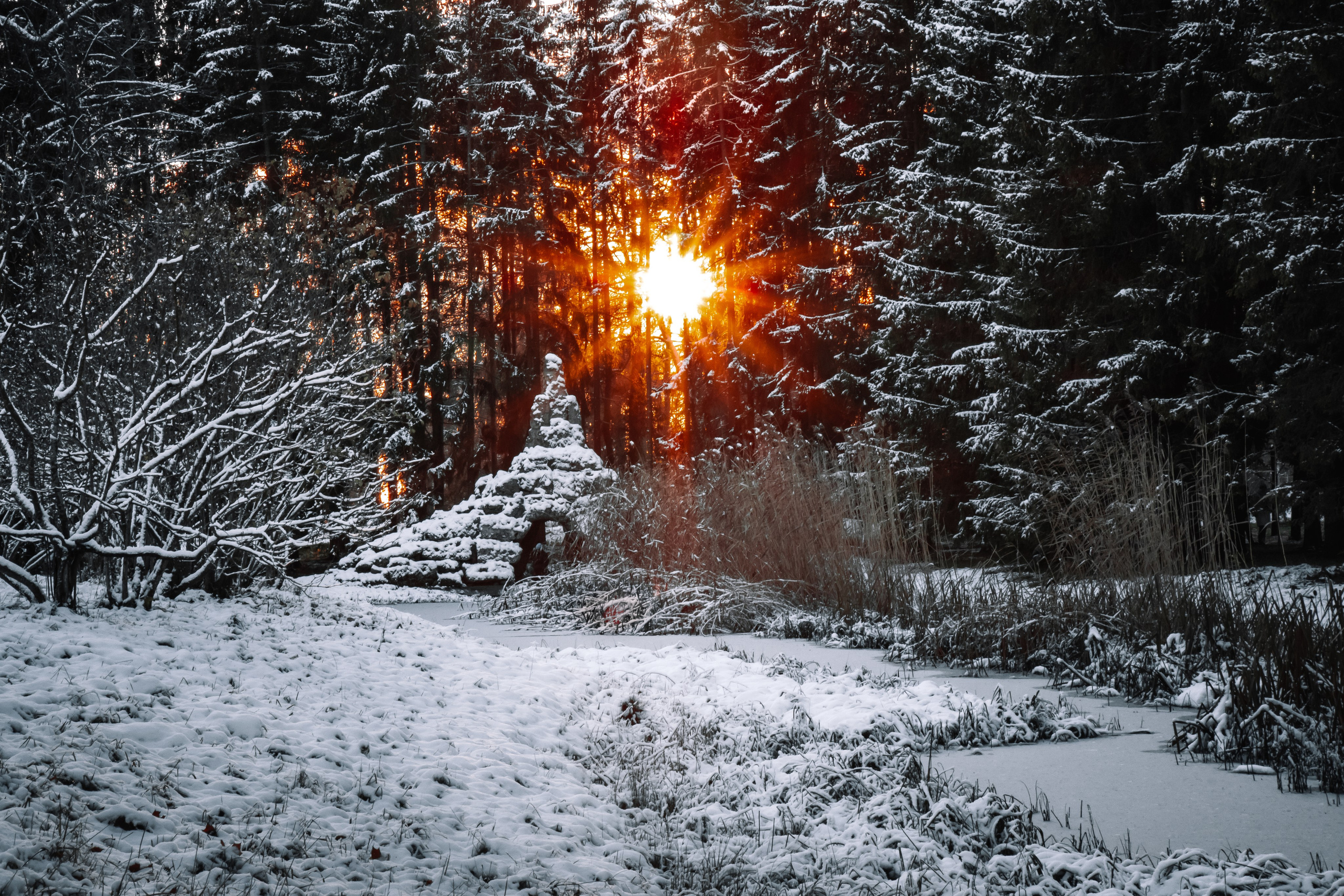 Пушкин | Екатерининский парк. Фотограф | Данил Шукан | Санкт-Петербург