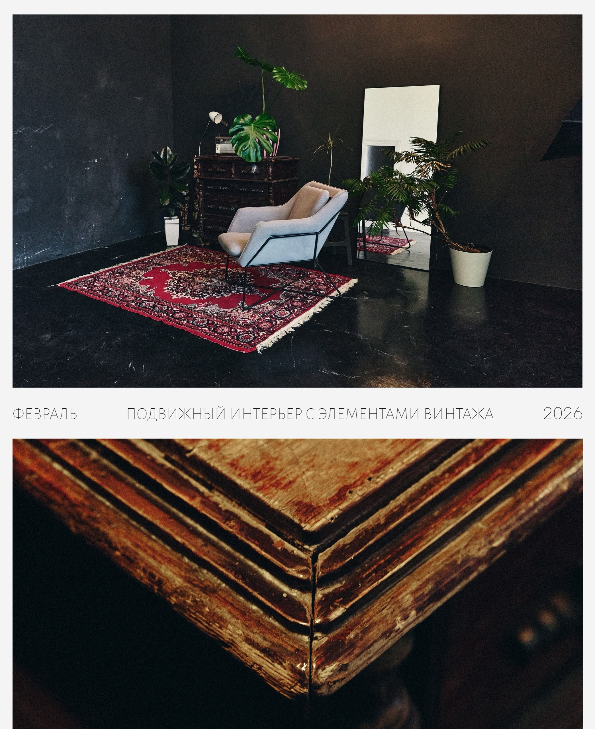 Лучшие фотостудии Липецка. Свадебный и семейный фотограф в Липецке Натали Бриз