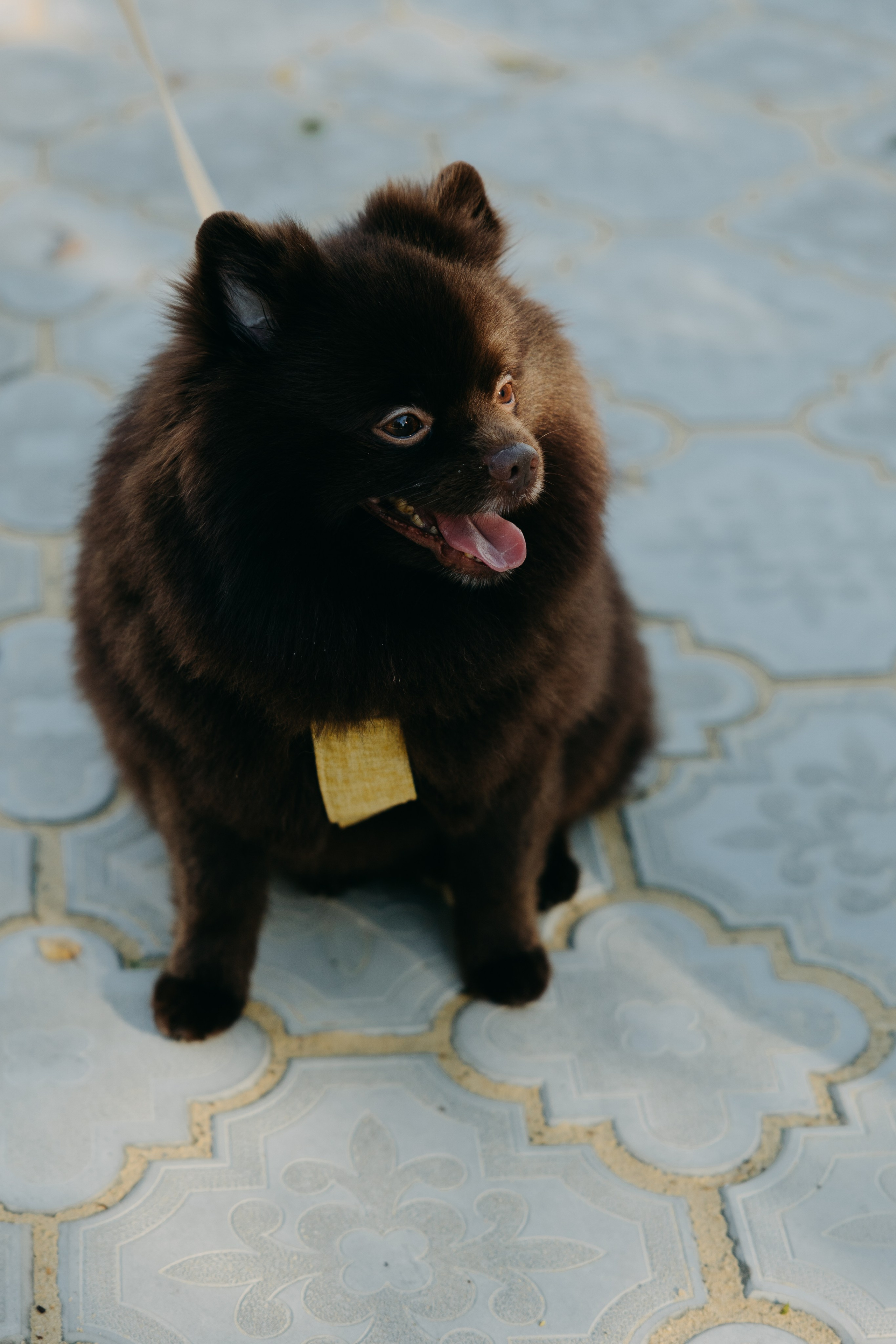 Утро в отеле Twelve Reasons и банкет в усадьбе Шелепаново. Свадебный фотограф Москва Анастасия Храмова