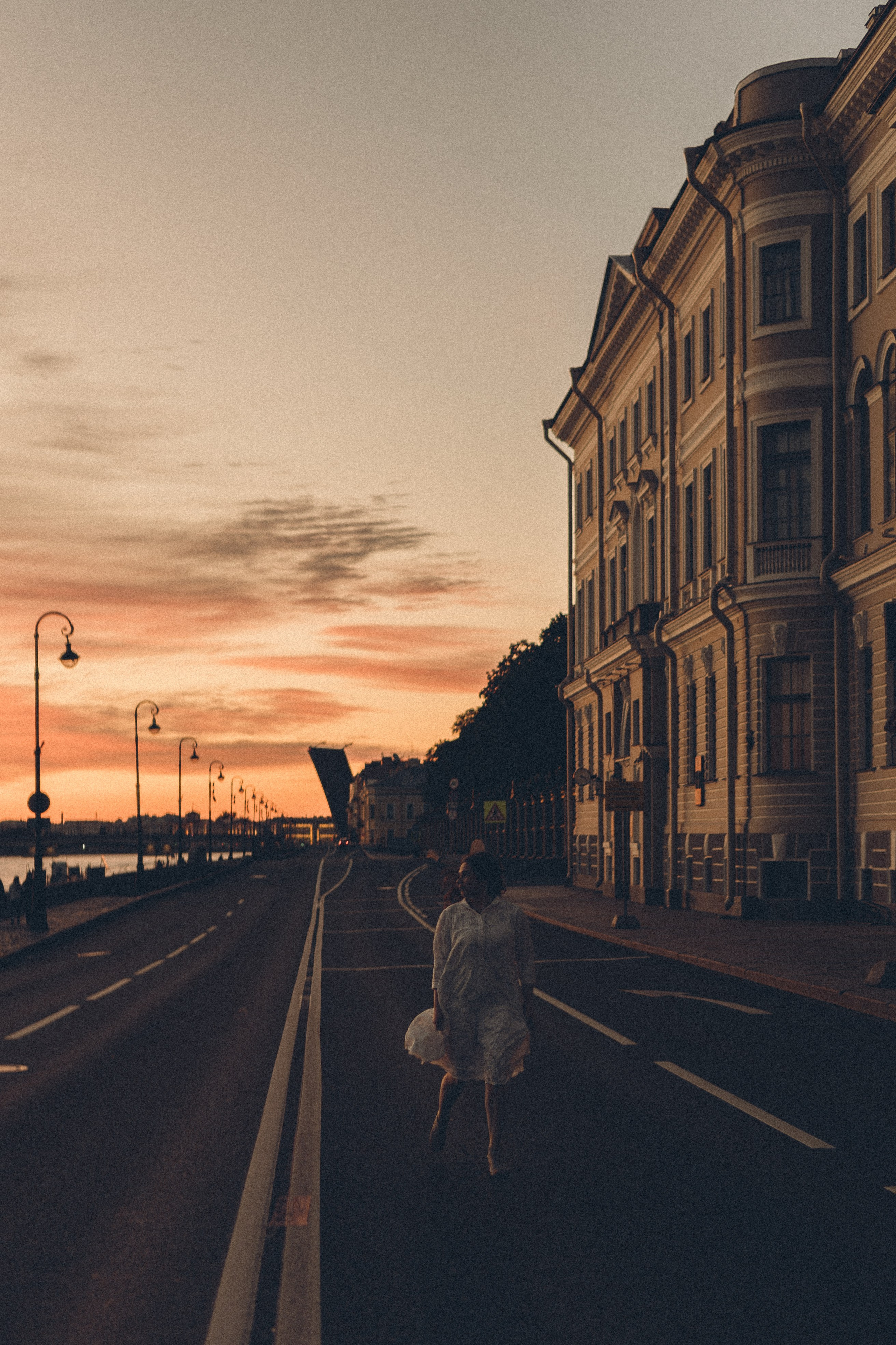 РАССВЕТ С РАЗВОДНЫМИ МОСТАМИ. Профессиональный фотограф, Санкт-Петербург — Виктория Богомолова