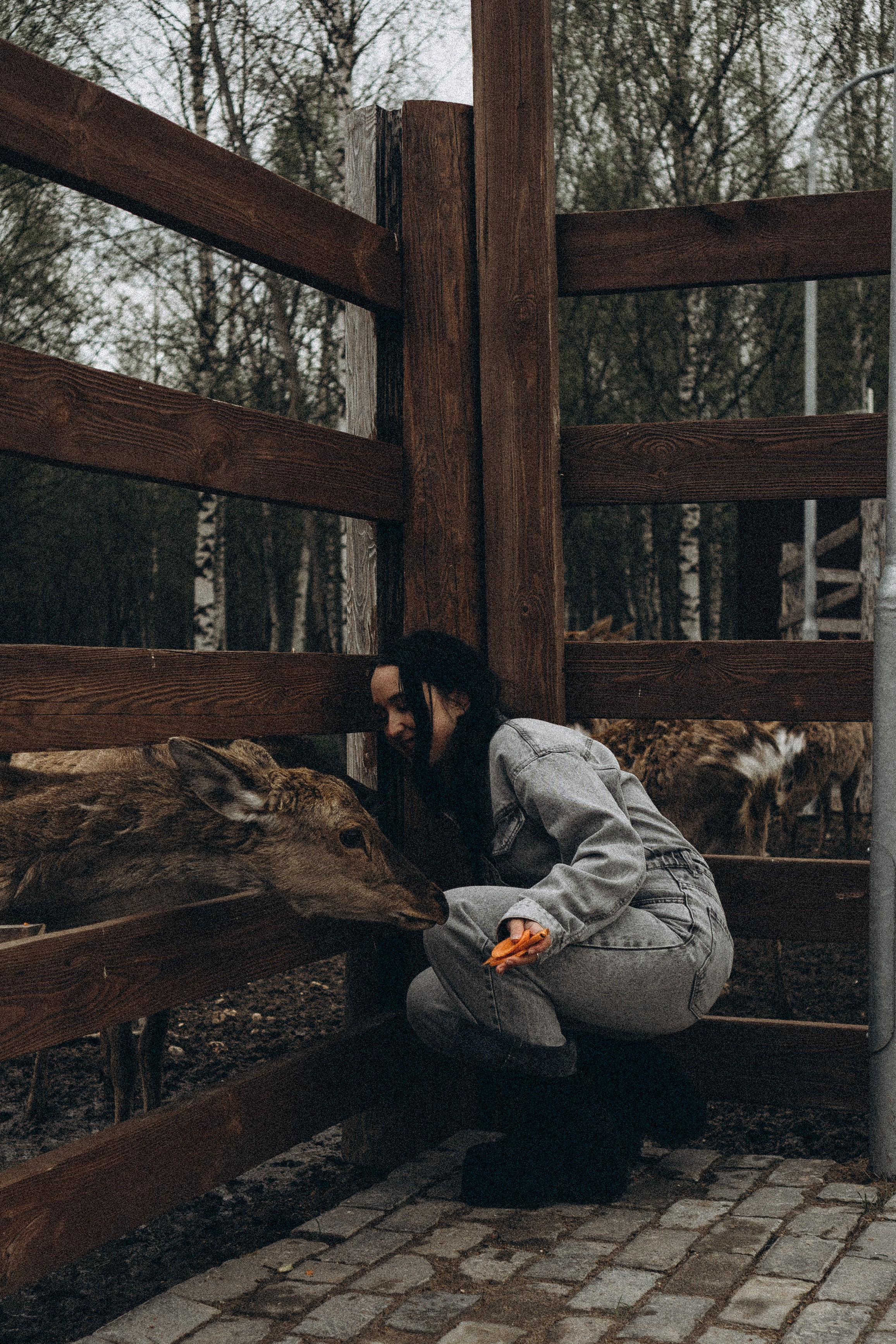 ОЛЕНЬЯ ФЕРМА В ТВЕРИ. Профессиональный фотограф, Санкт-Петербург — Виктория Богомолова