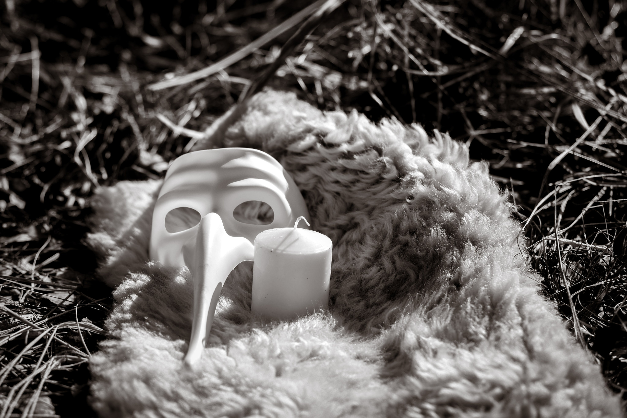 В ожидании Halloween. Art my Pho