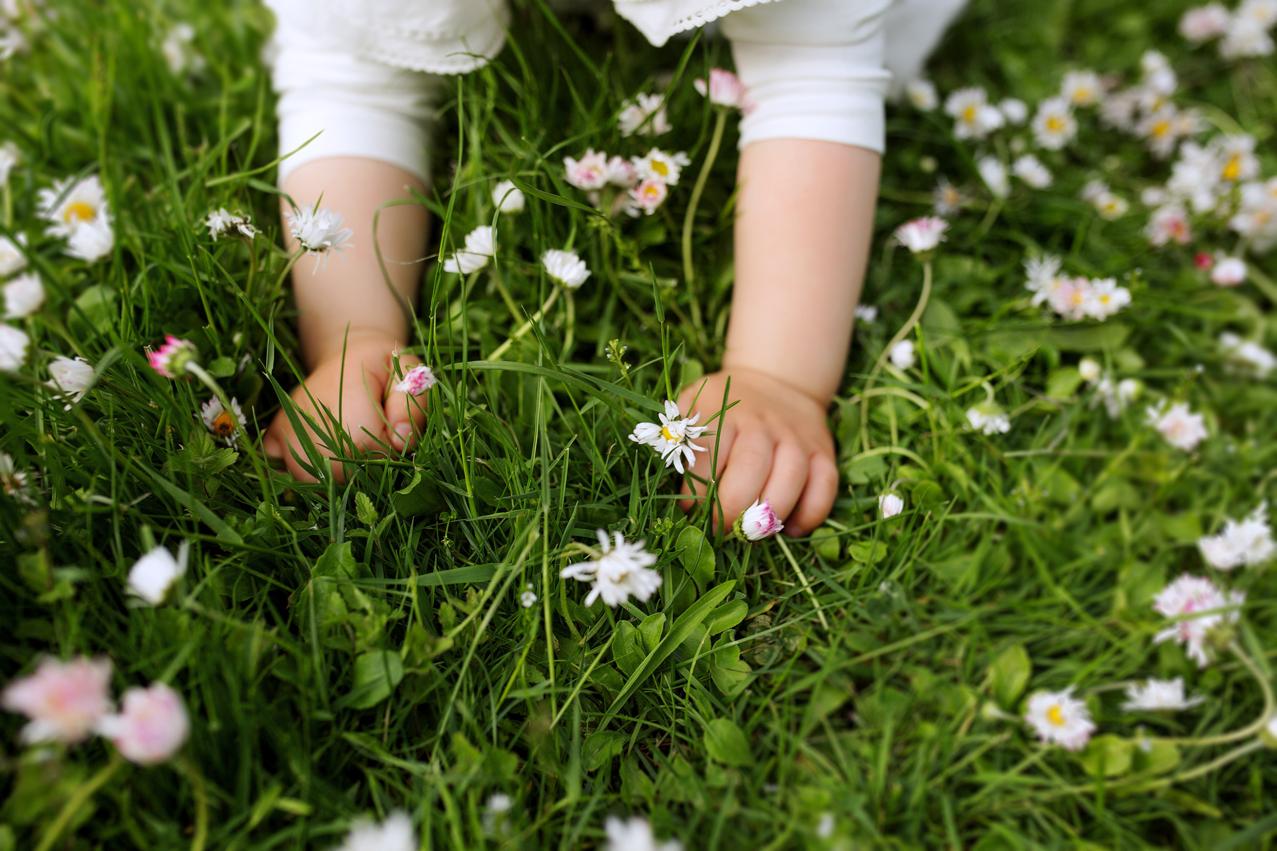 ВЕРОЧКА, ИРИНА и ДЕНИС. Фотограф новорожденных Оксана Полевская