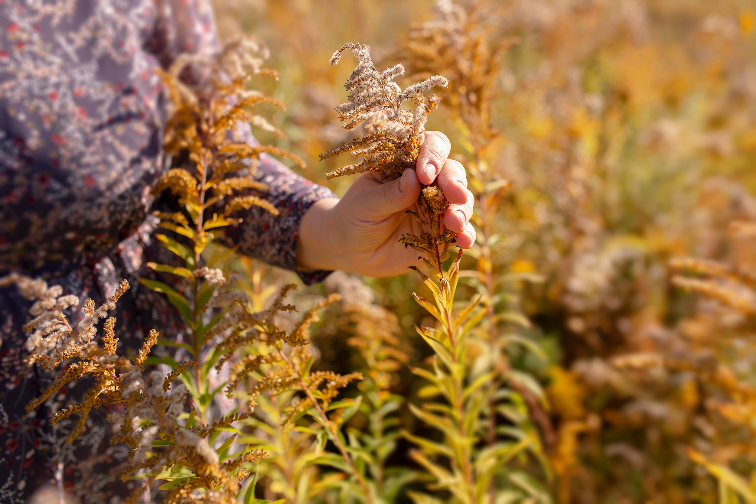 Нелли. Фотограф новорожденных Оксана Полевская