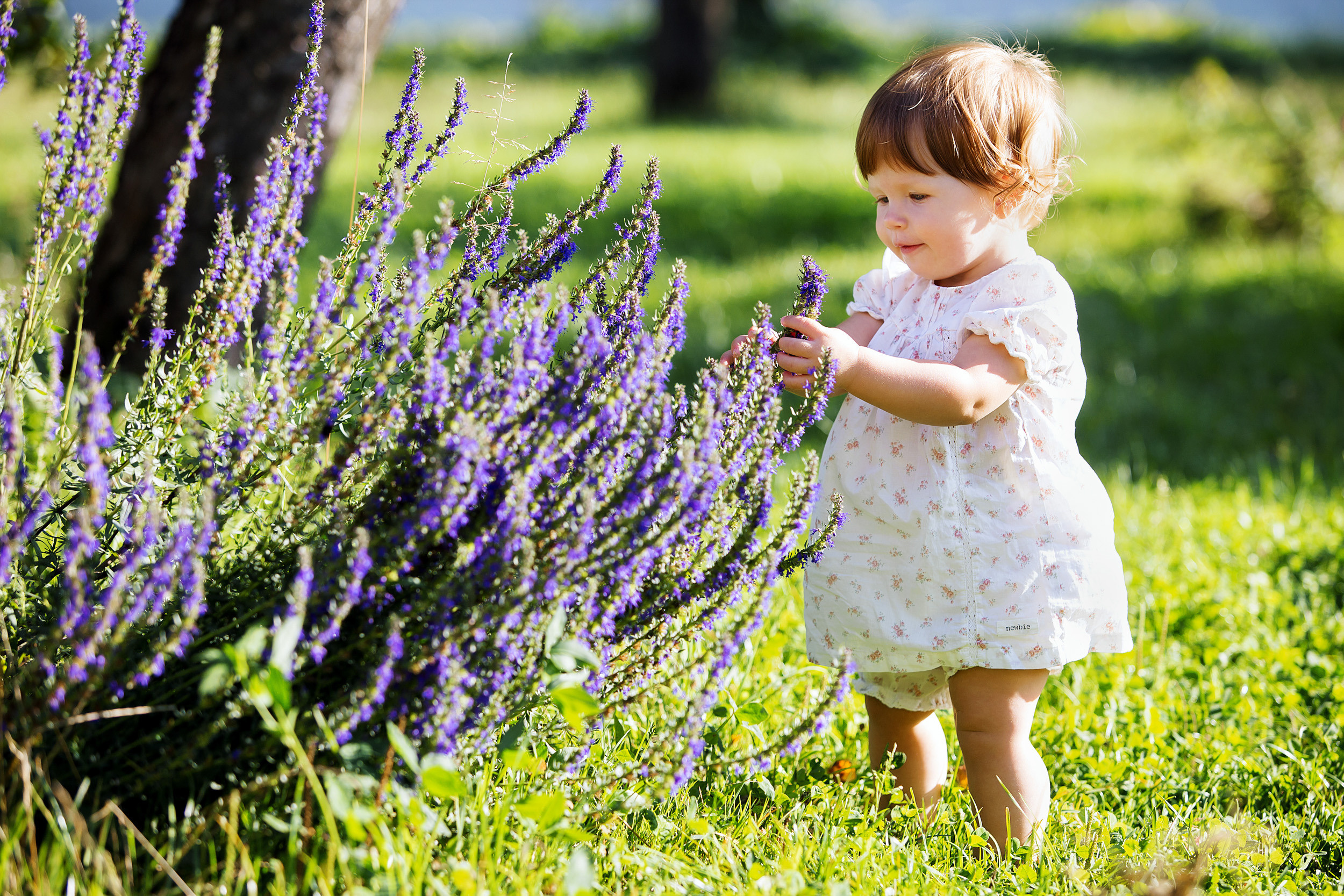 София и Степан. Фотограф новорожденных Оксана Полевская