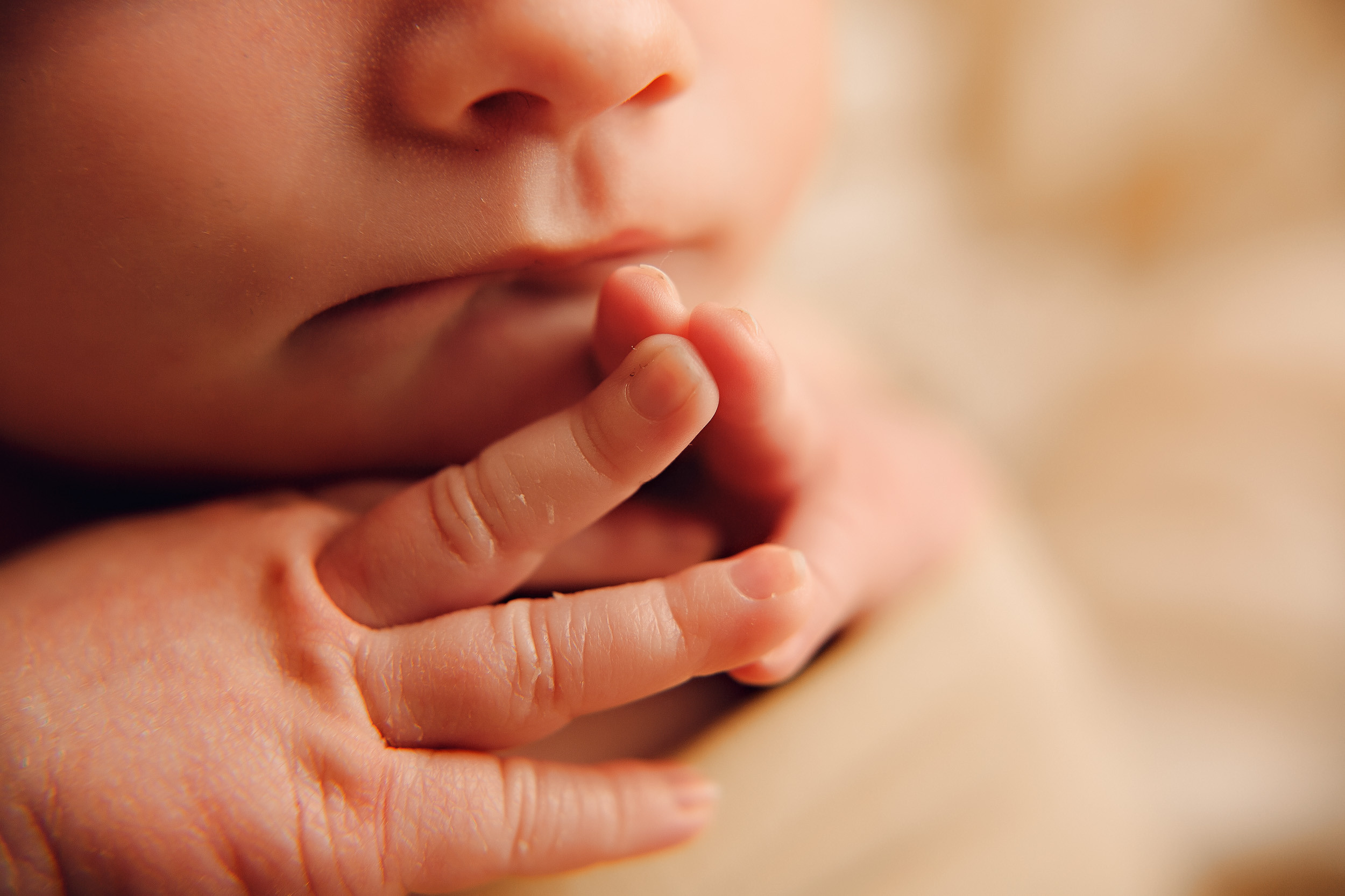 Валерия Classic. Фотограф новорожденных Оксана Полевская