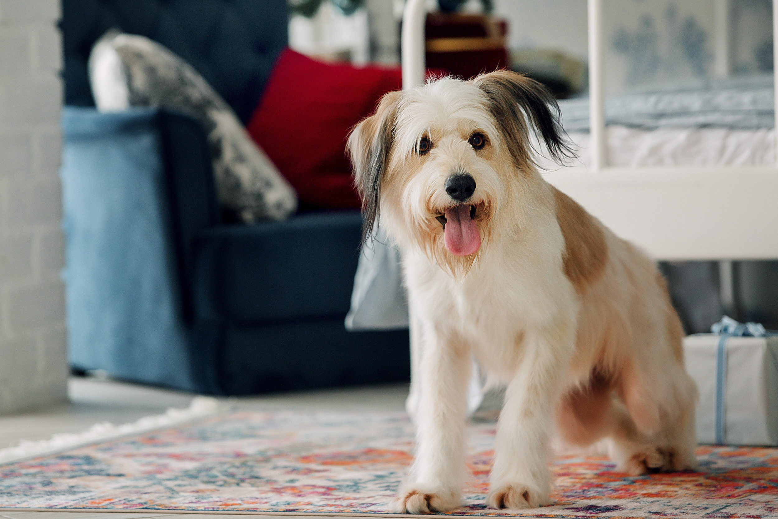 Мишка, Татьяна и Денис. Фотограф новорожденных Оксана Полевская