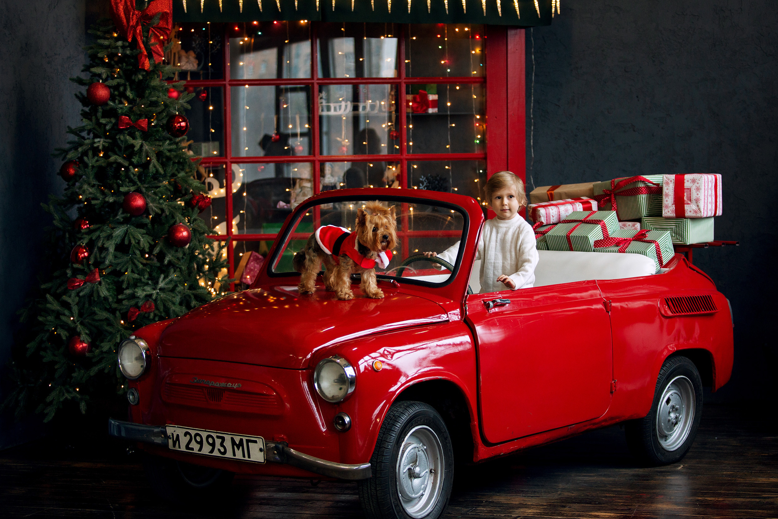 Давид. Фотограф новорожденных Оксана Полевская