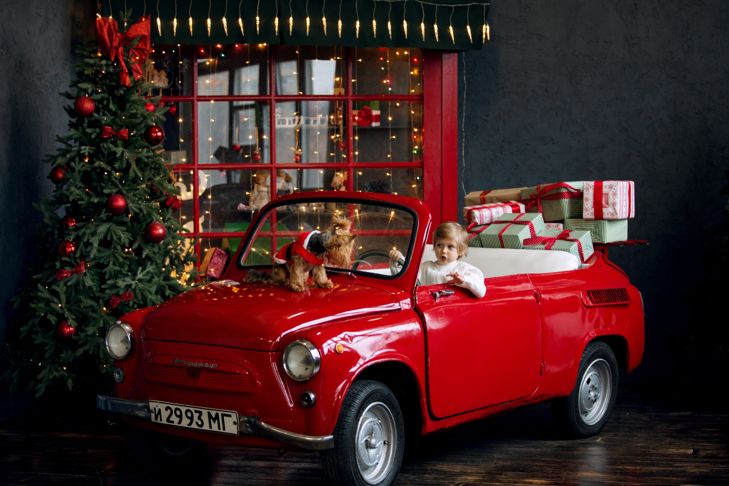 Давид. Фотограф новорожденных Оксана Полевская