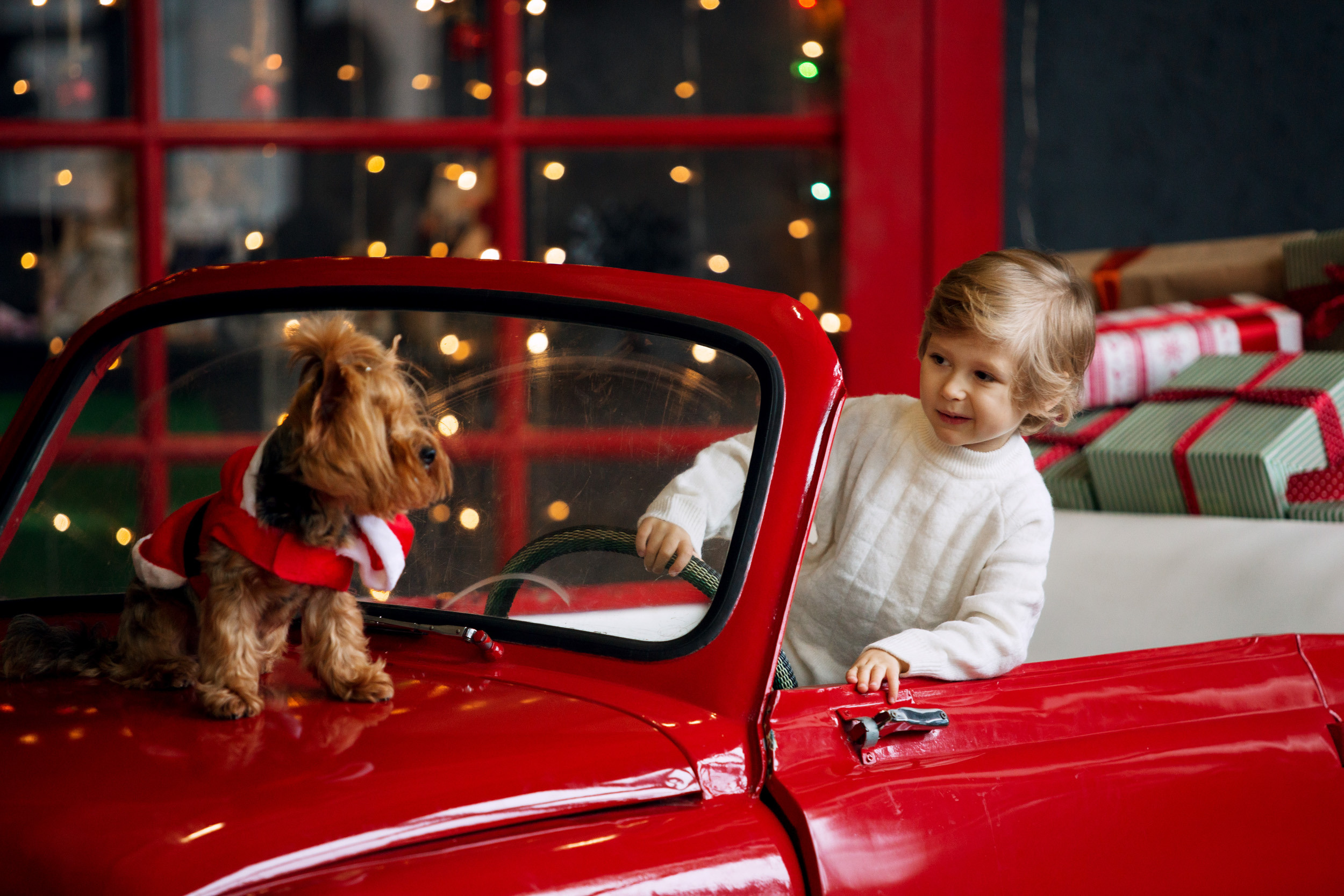 Давид. Фотограф новорожденных Оксана Полевская
