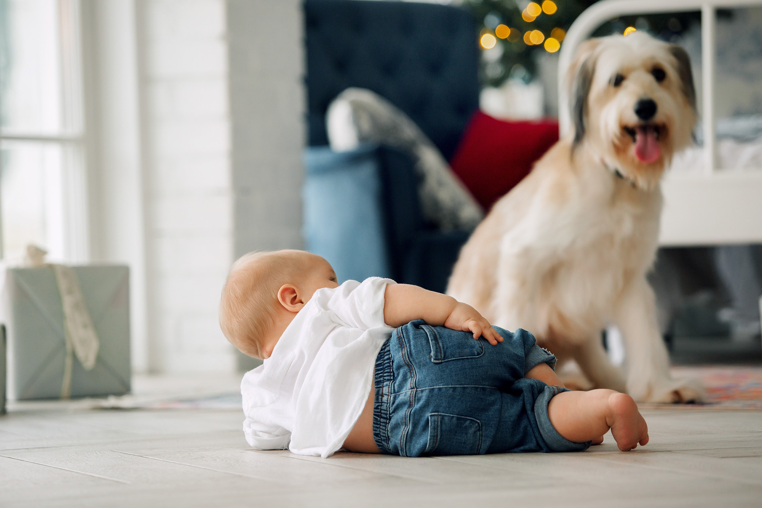 Мишка, Татьяна и Денис. Фотограф новорожденных Оксана Полевская