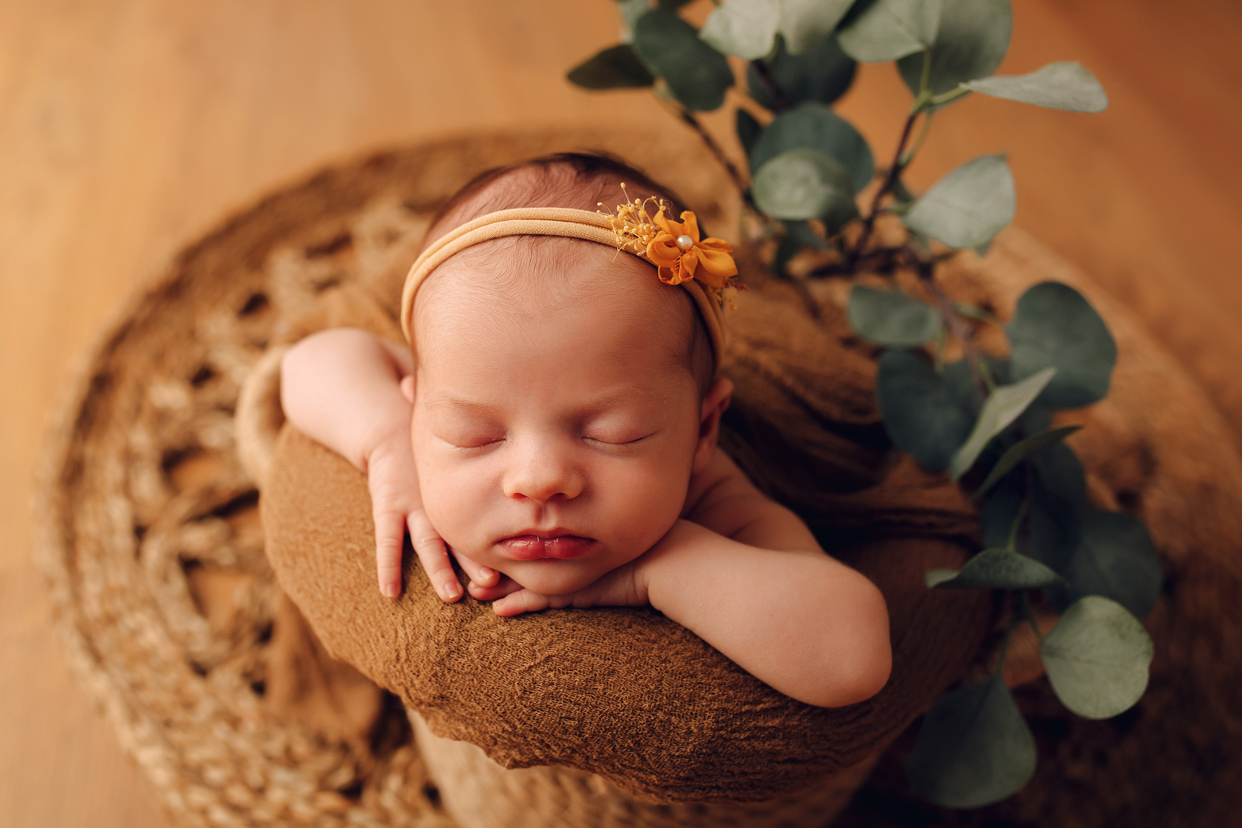 Валерия Classic. Фотограф новорожденных Оксана Полевская