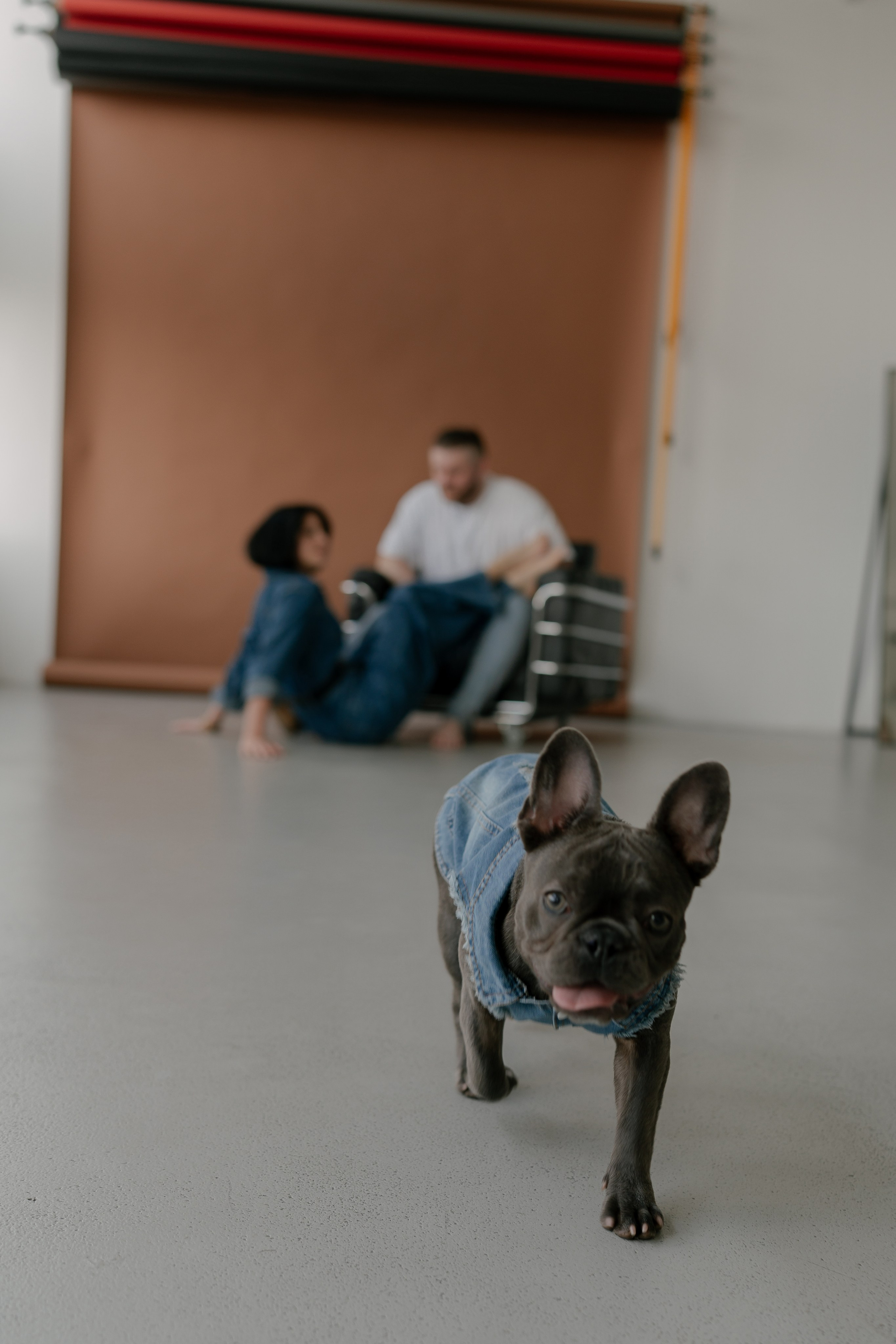 Сергей, Вероника и Руна. Свадебный и семейный фотограф в Москве и Красногорске — живые кадры | Анастасия Тихонова