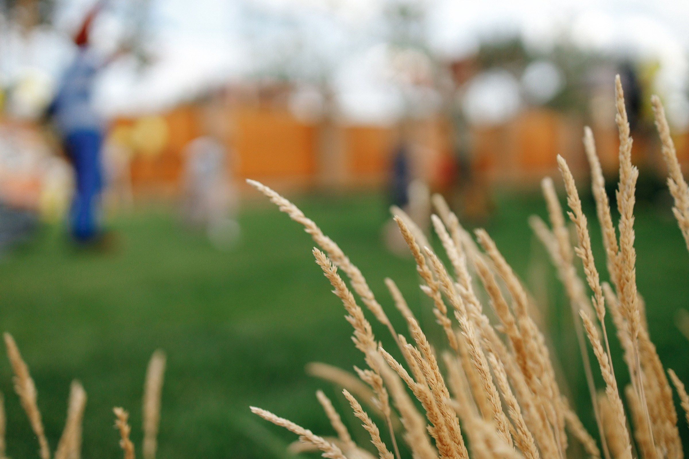 День рождения. Свадебный и репортажный фотограф в Воронеже Сергей Максимов