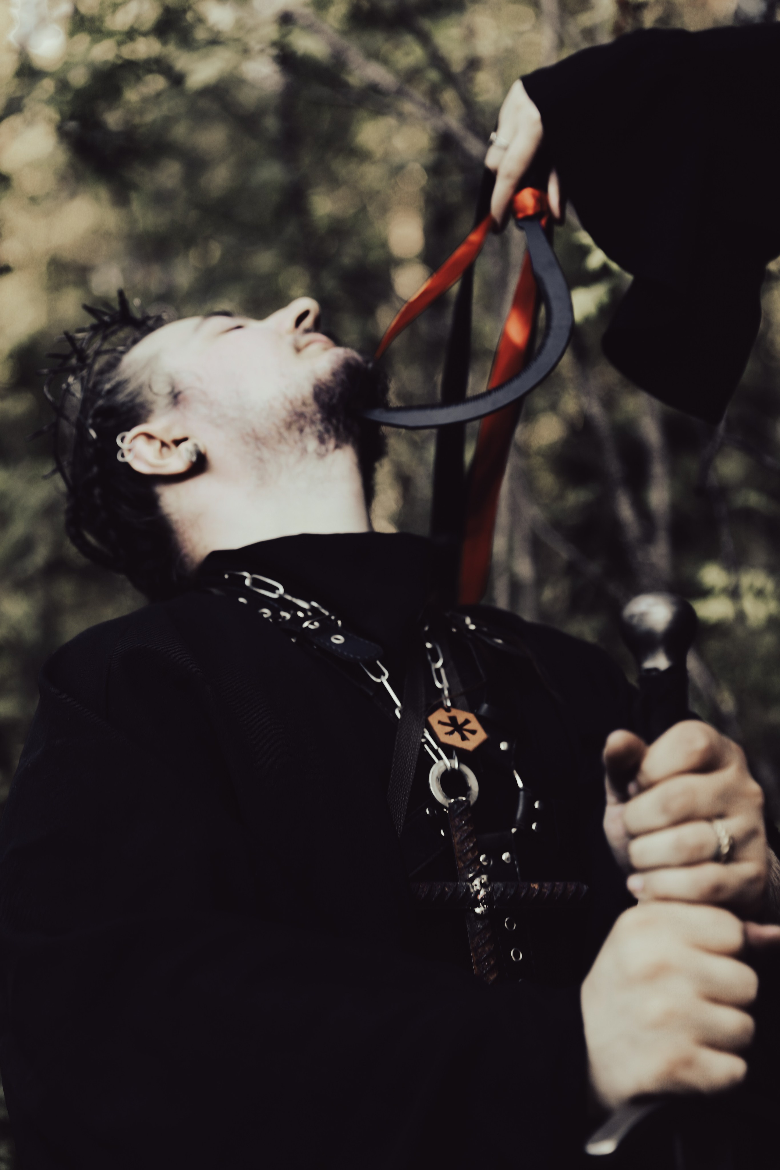 Фестиваль Жива