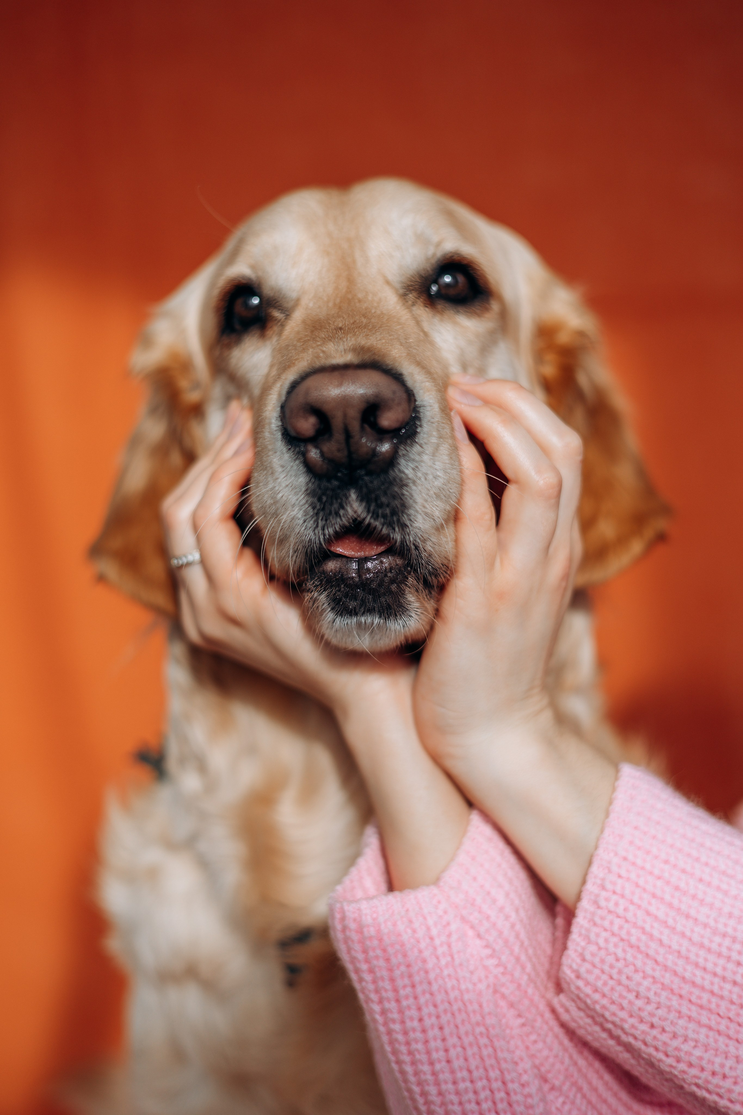Марина и Чили. Фотограф — Анималист | Санкт-Петербург