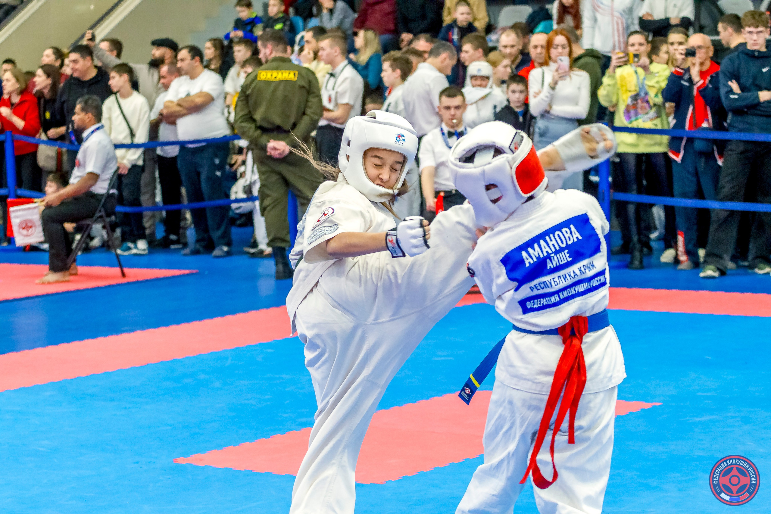 Международный турнир по киокушин «Открытый кубок Seiken». Репортажная съемка в Москве и области. Анималистика