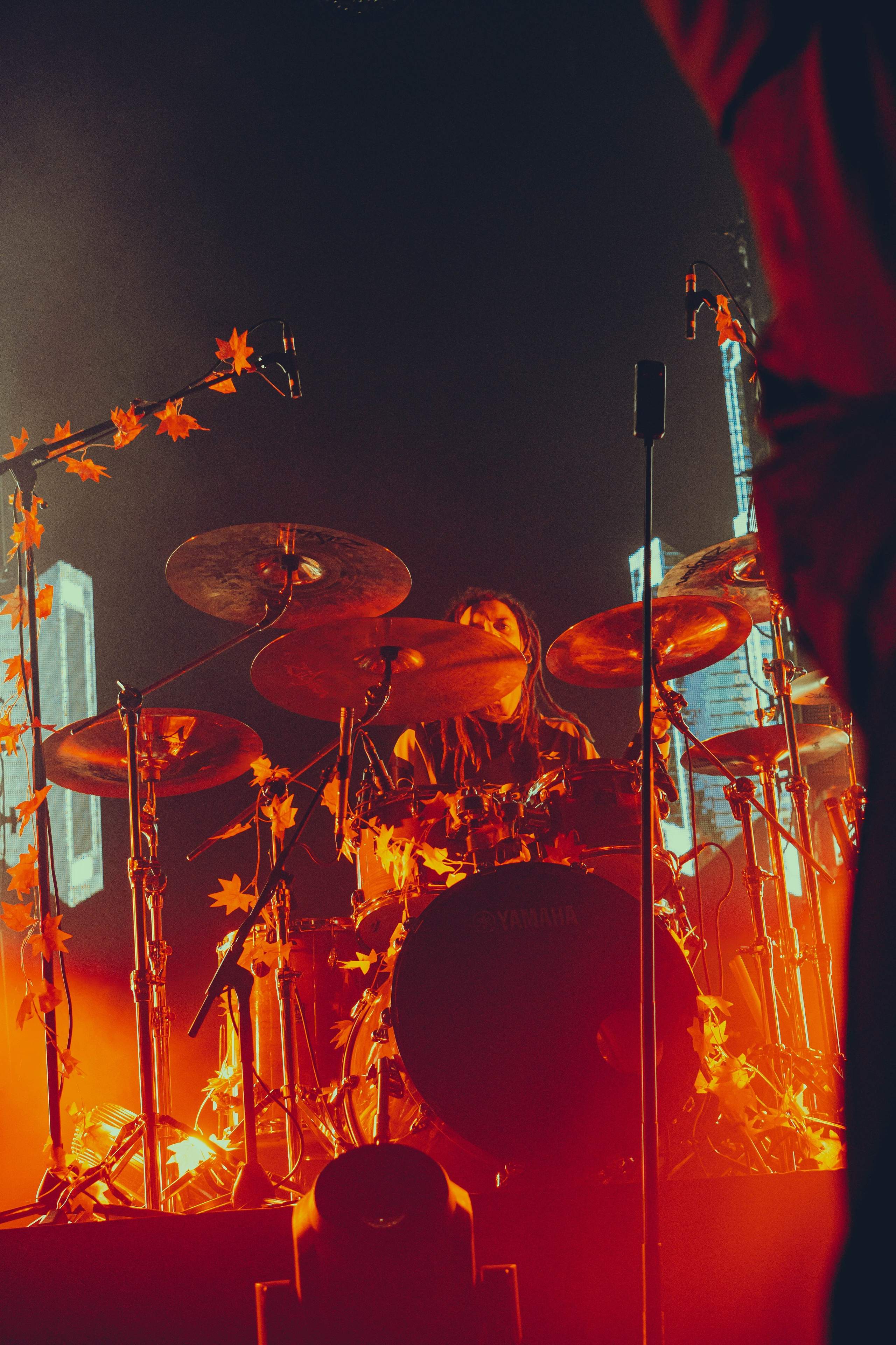 Stigmata 15.11.2025. Фотограф Дядя Сник