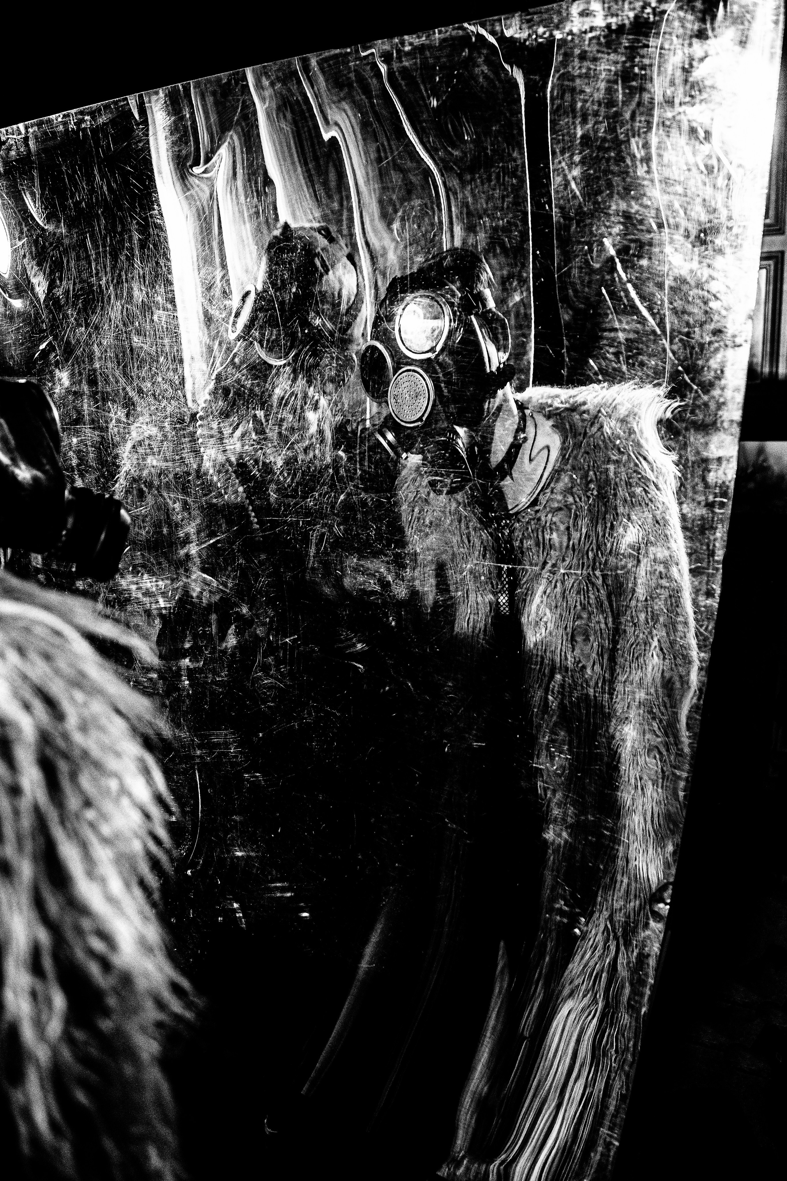 Алёна и Ярик. Черно-белый фотограф Дмитрий Пчелкин