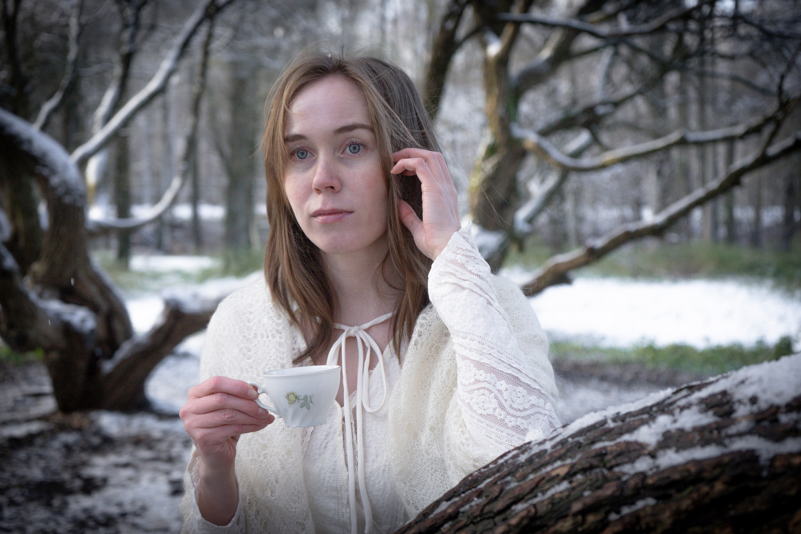 Зимний день