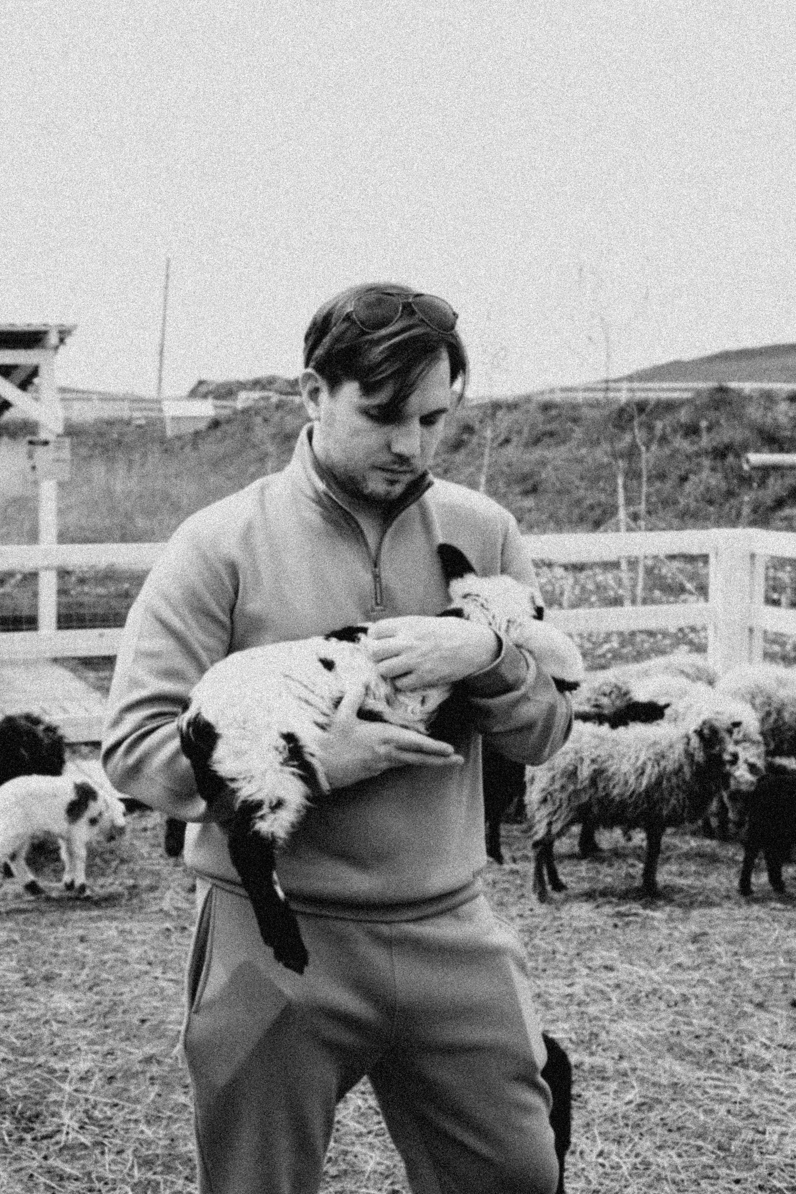 Ферма Альпак. Профессиональный фотограф, Санкт-Петербург — Виктория Богомолова