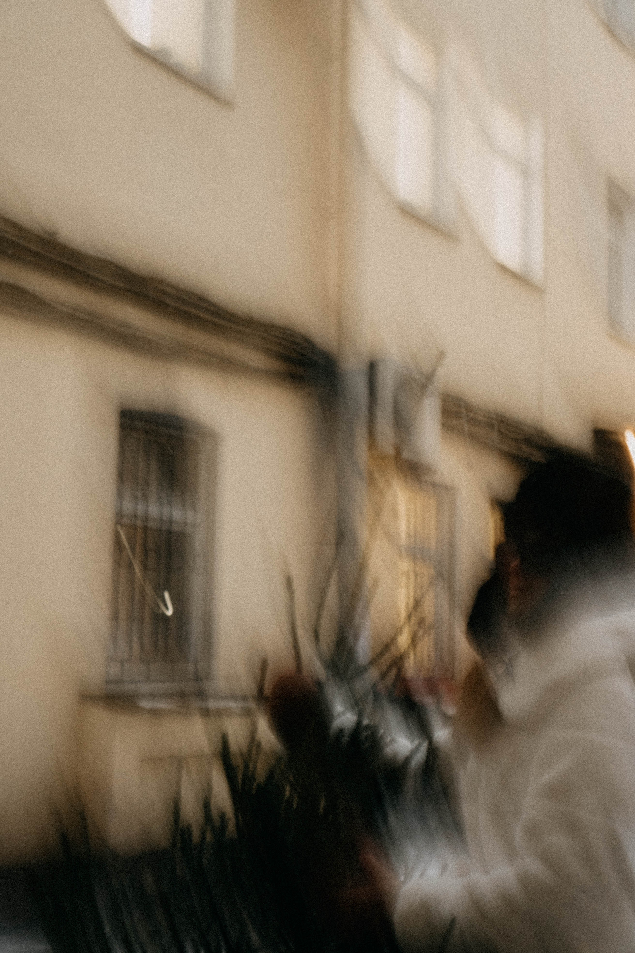 Новогодняя. Профессиональный фотограф, Санкт-Петербург — Виктория Богомолова