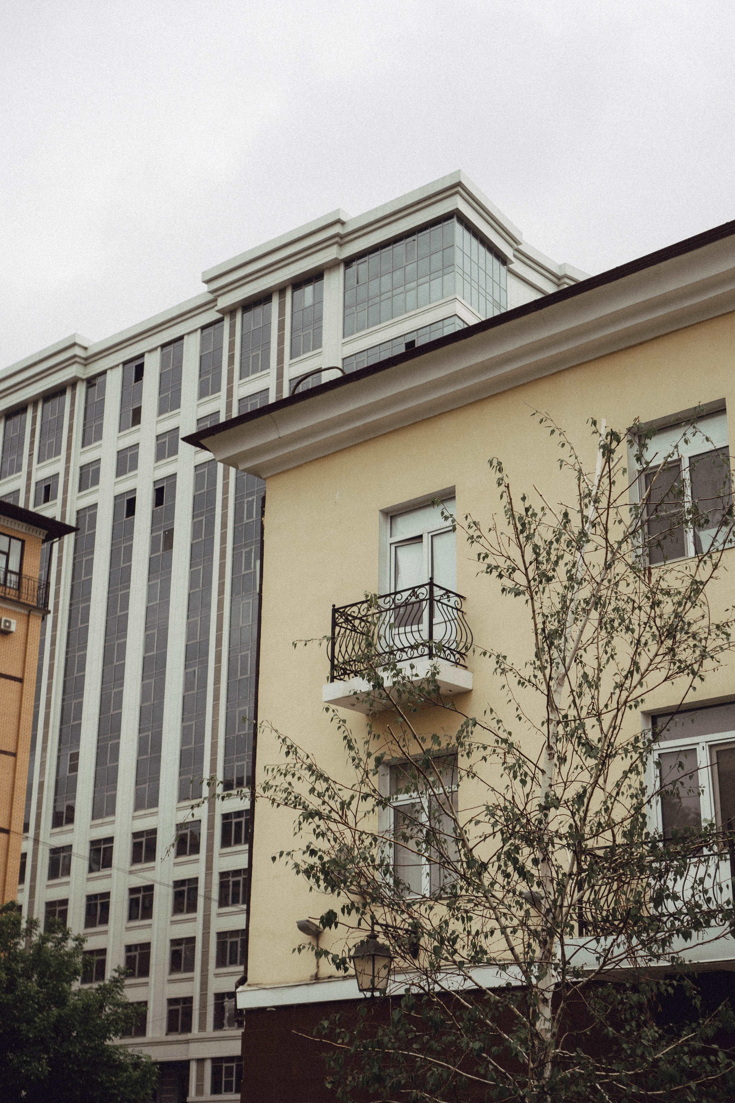 Кавказ. Профессиональный фотограф, Санкт-Петербург — Виктория Богомолова