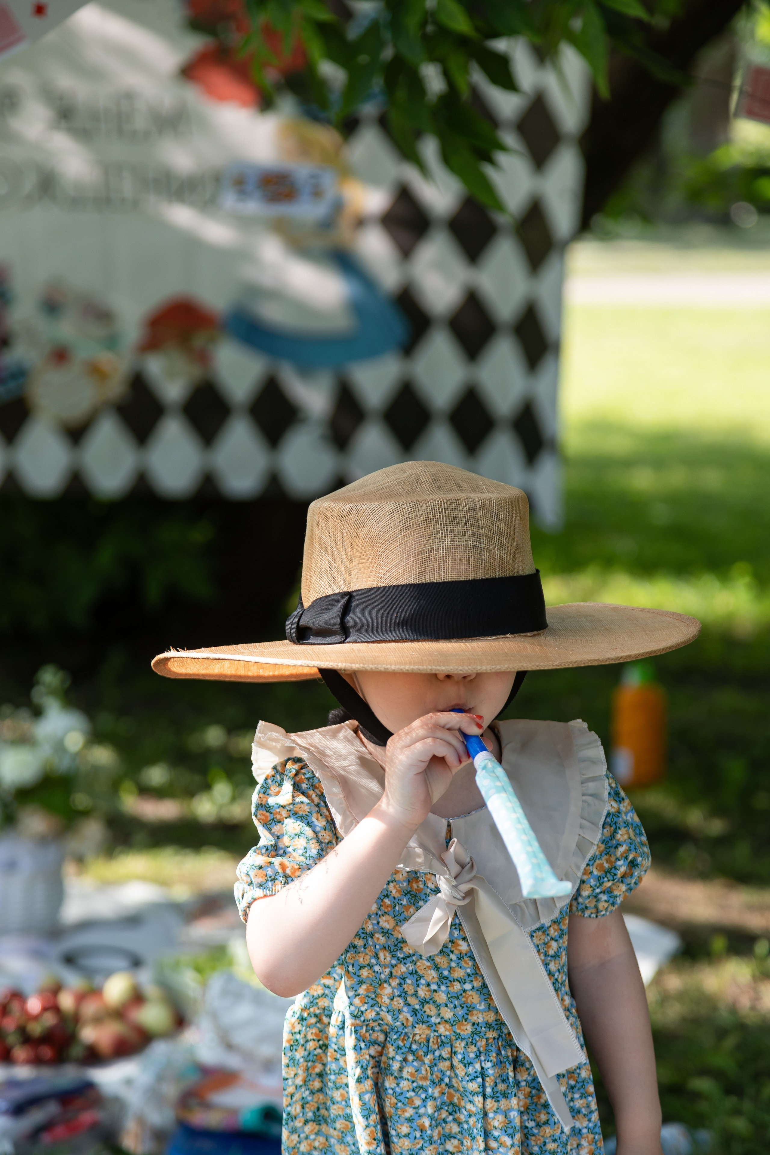 WONDERLAND. Главная