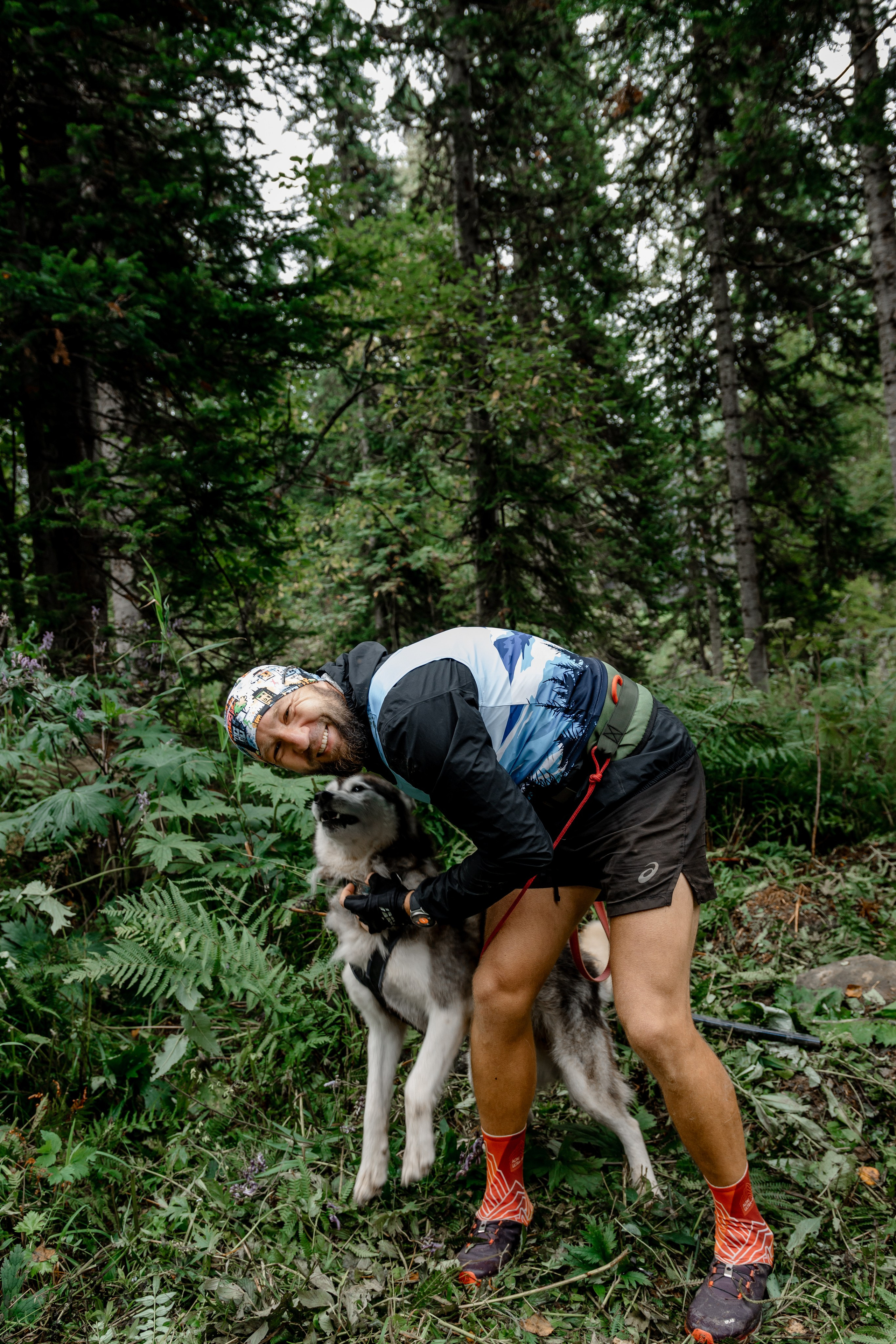 Дог-треккинг