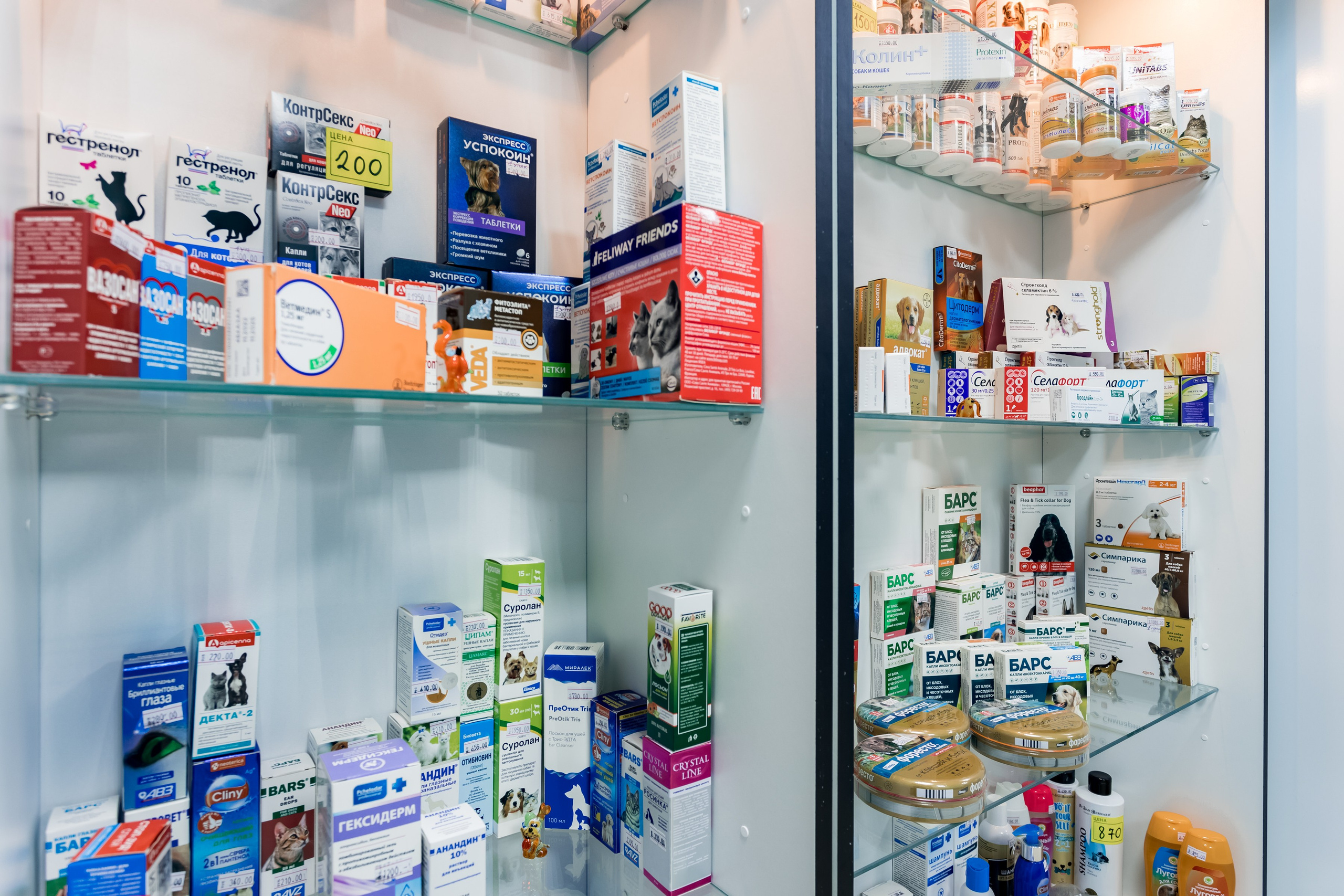 Интерьерная съемка для ветеринарной клиники Прив-вет. Интерьеры, Контент, Портреты | Фотограф в Москве Дани Терно