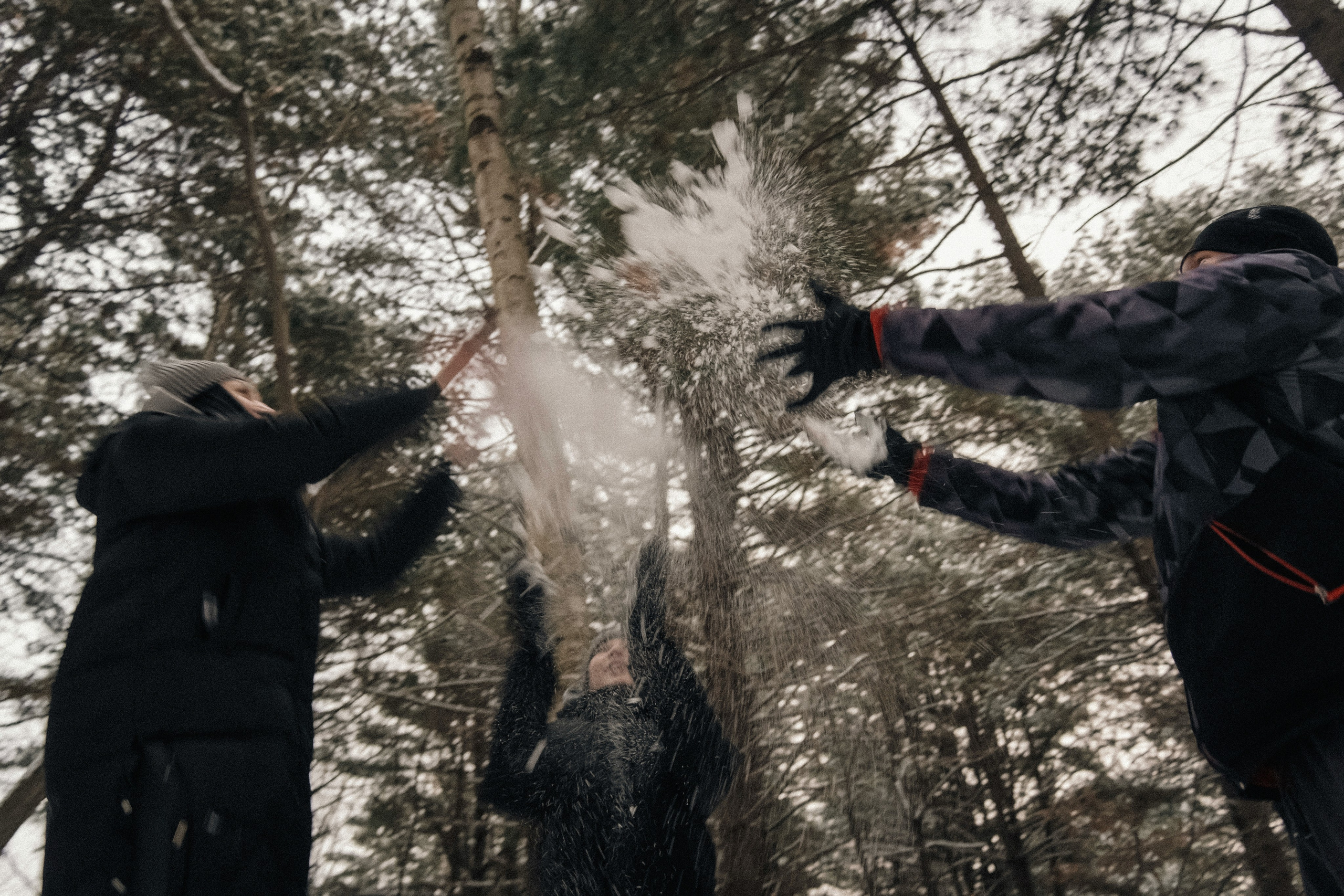 Зимняя история. Семейный фотограф анималист г. Находка