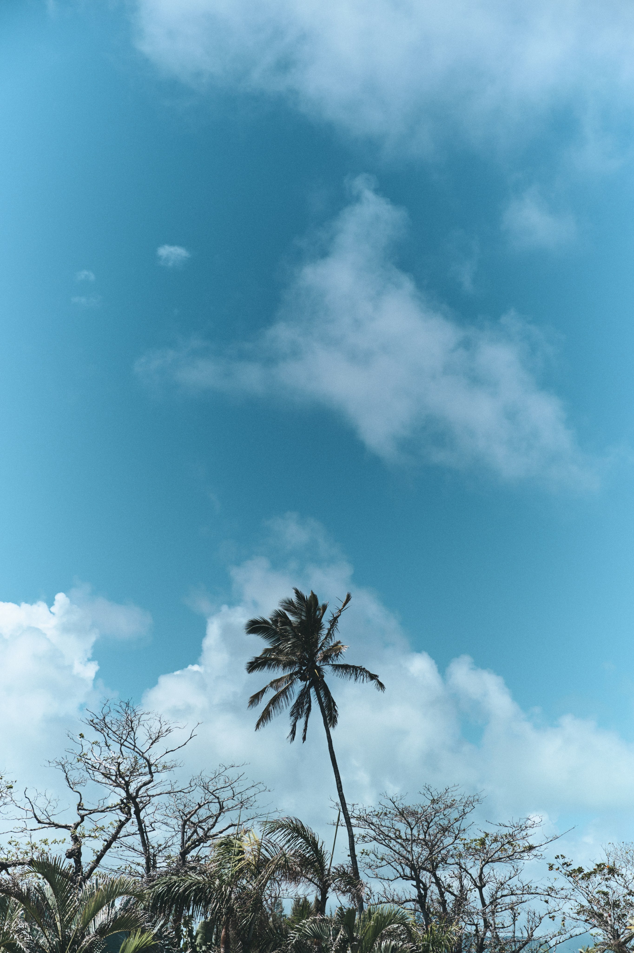 U Magazine x Выездная редакция. Фотограф Сурков Никита