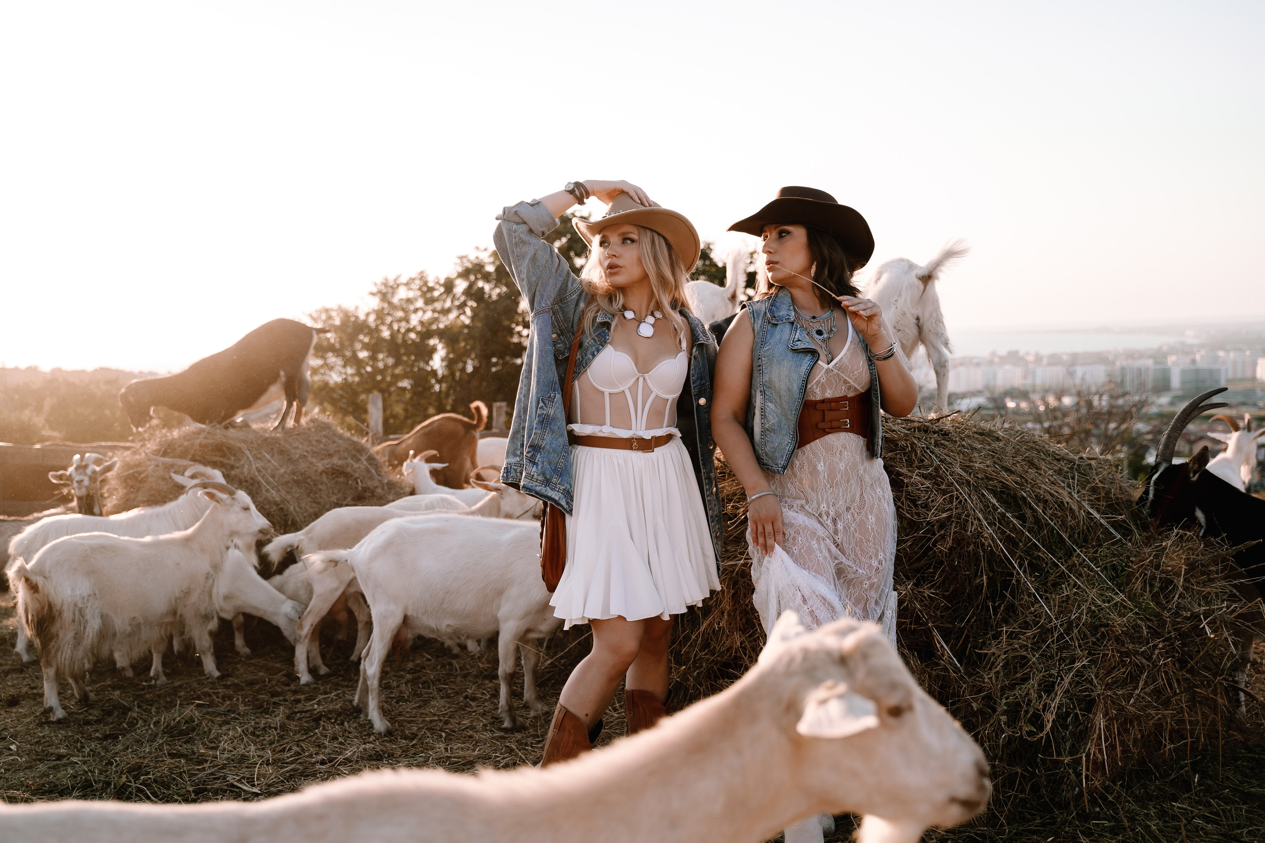 Фотосессия на конюшне. Карпенко Марина свадебный и семейный фотограф Анапа, Краснодар, Геленджик, Сочи, Темрюк