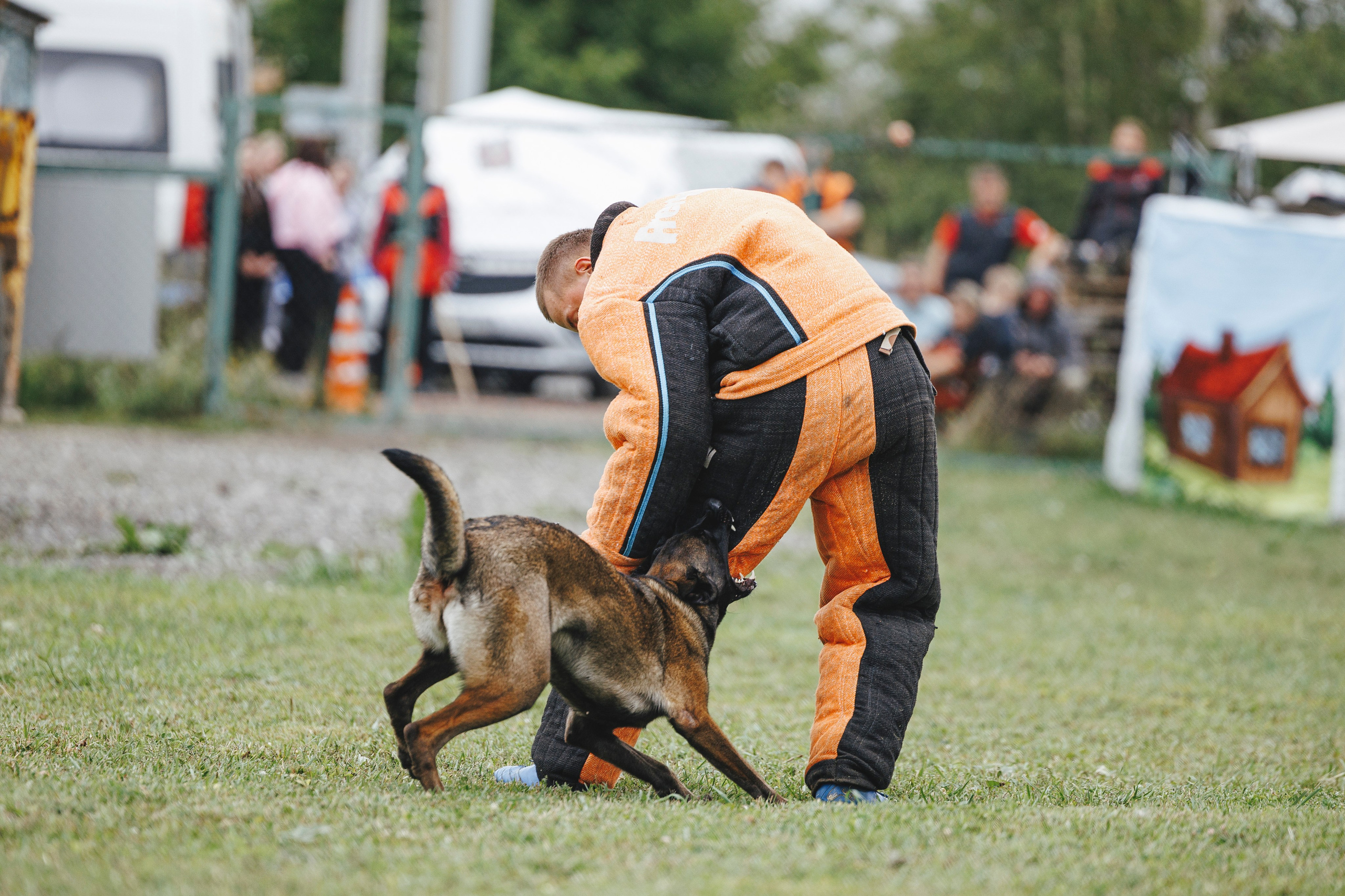 08.08.25-10.08.25 ЧР по мондьорингу г. Вологда. Фотограф-анималист Анна Маринич