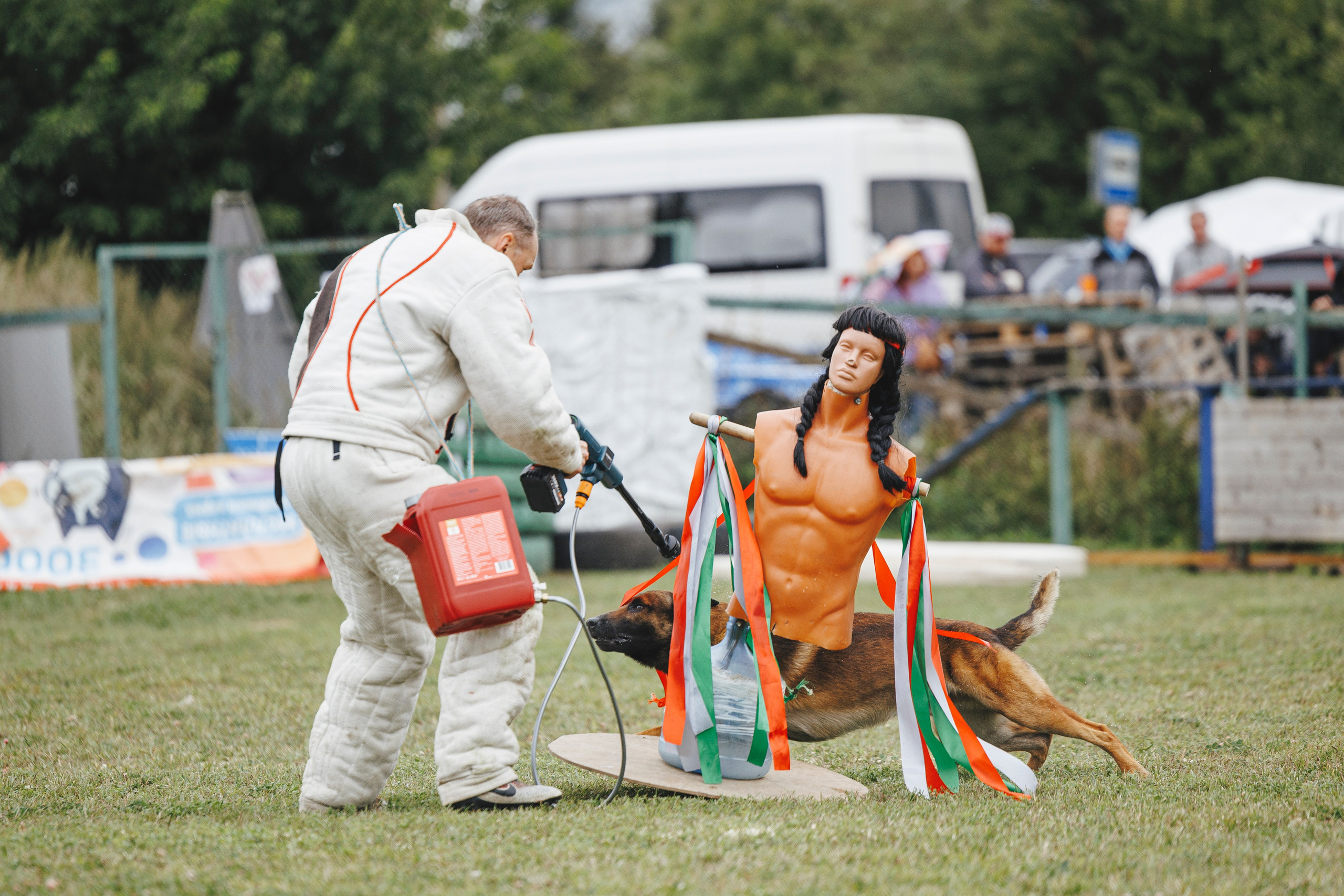 08.08.25-10.08.25 ЧР по мондьорингу г. Вологда. Фотограф-анималист Анна Маринич