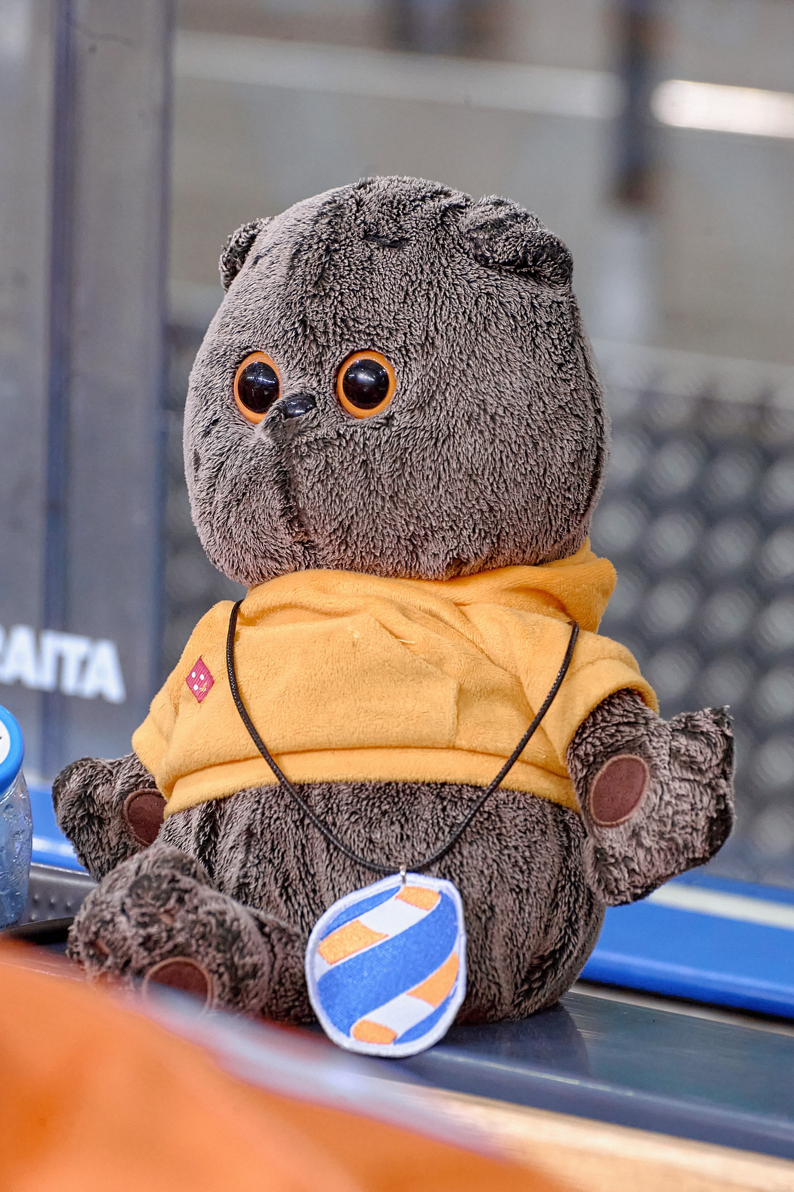 Платинум Арена — Хоккей — РусГидро. Фотограф Яковлев Роман — Красноярск