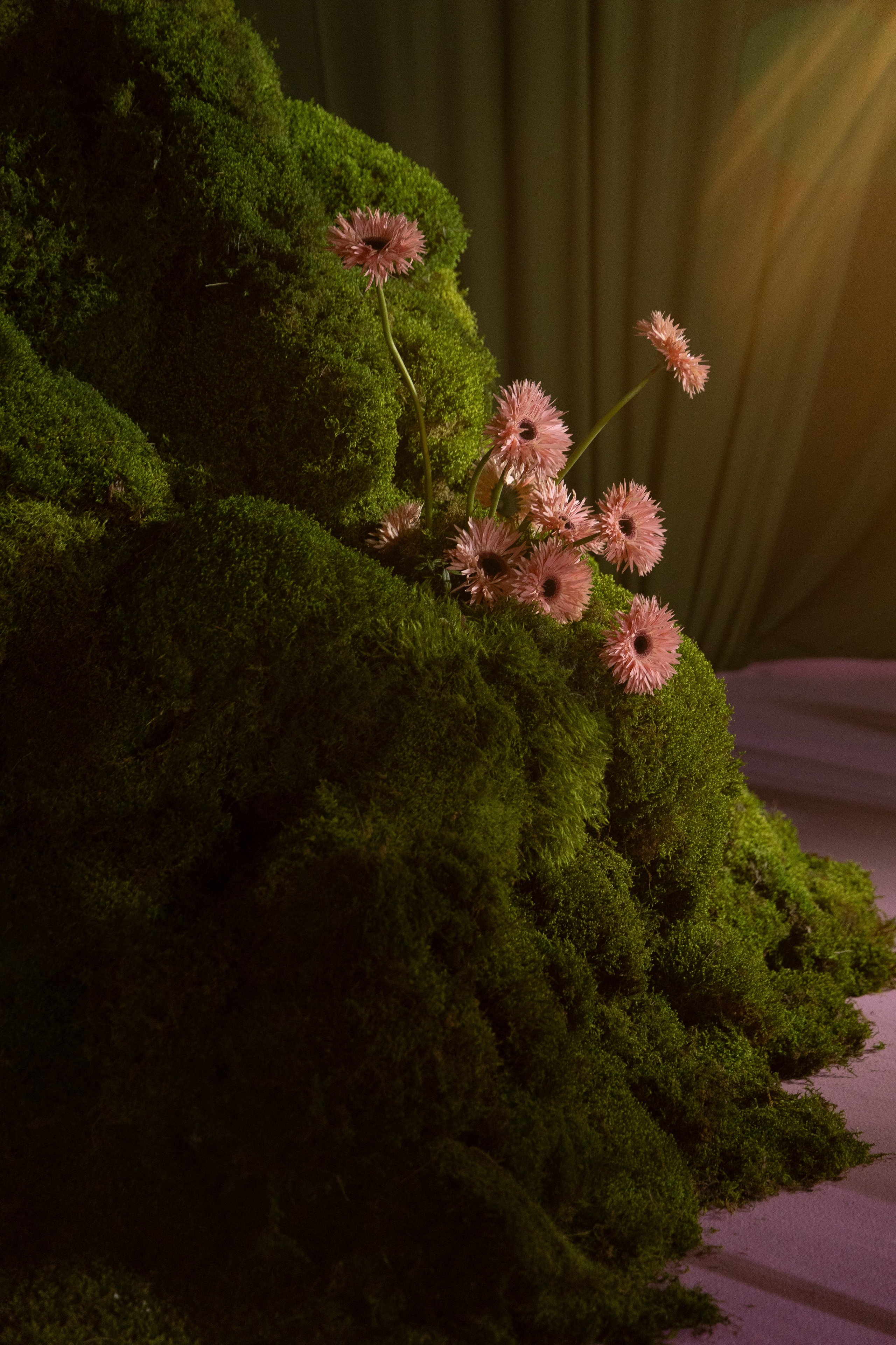 N&A. Свадебный фотограф Лиза Макатович Беларусь Минск