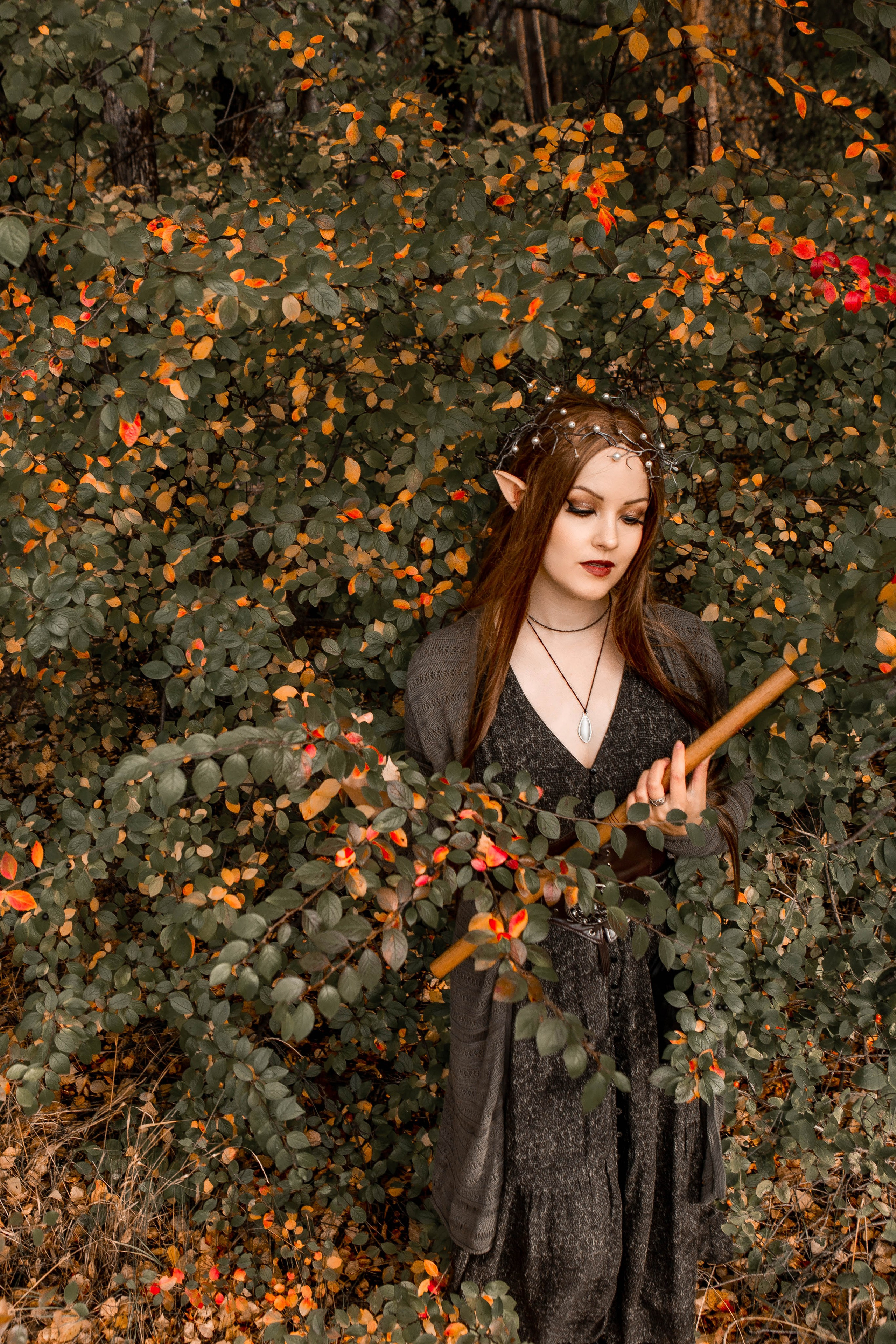 Волшебный лес. Фотограф Екатерина Голицына