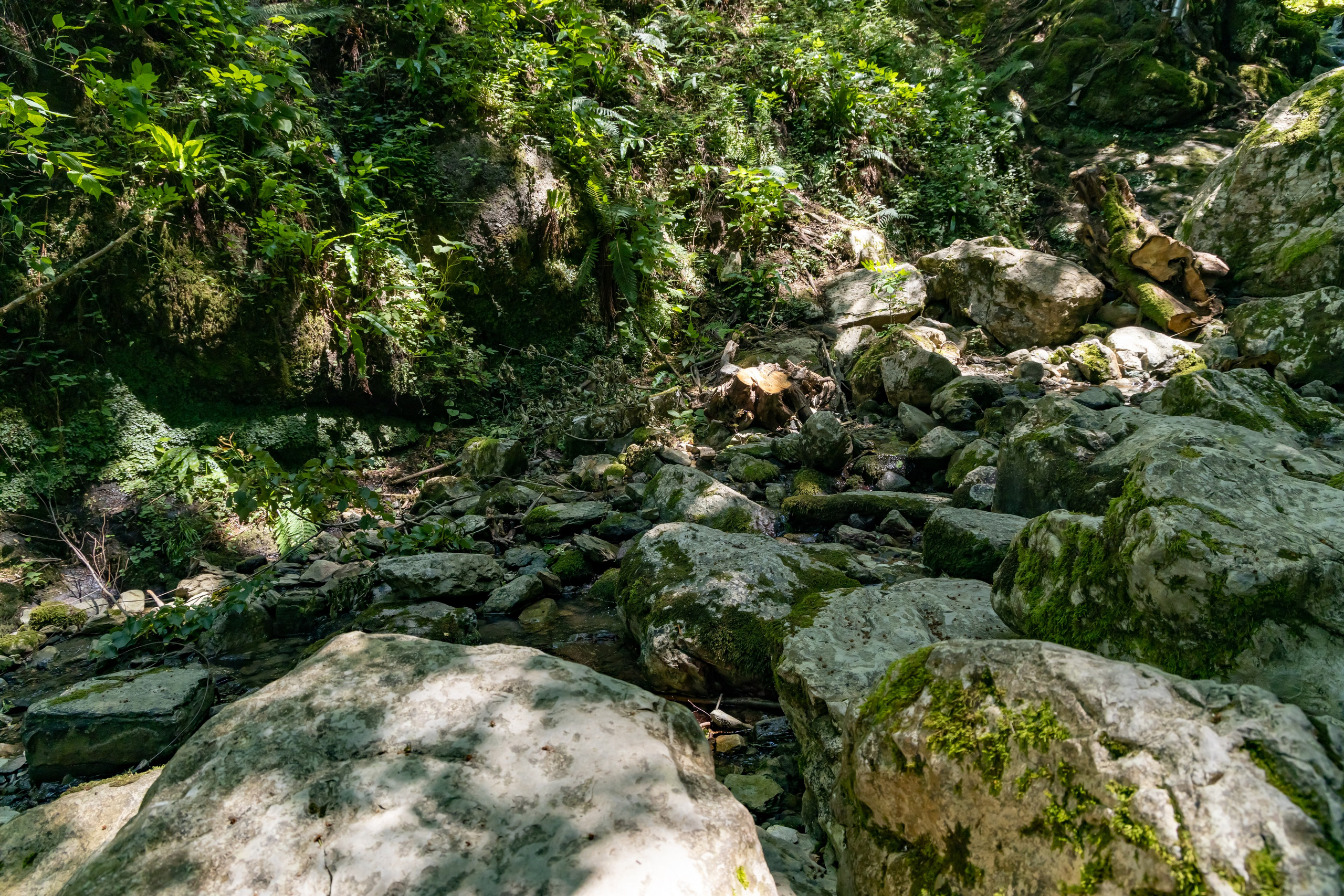 Сочи. Солох Аул. Репортажный, семейный и студийный фотограф в Москве Демин Алексей