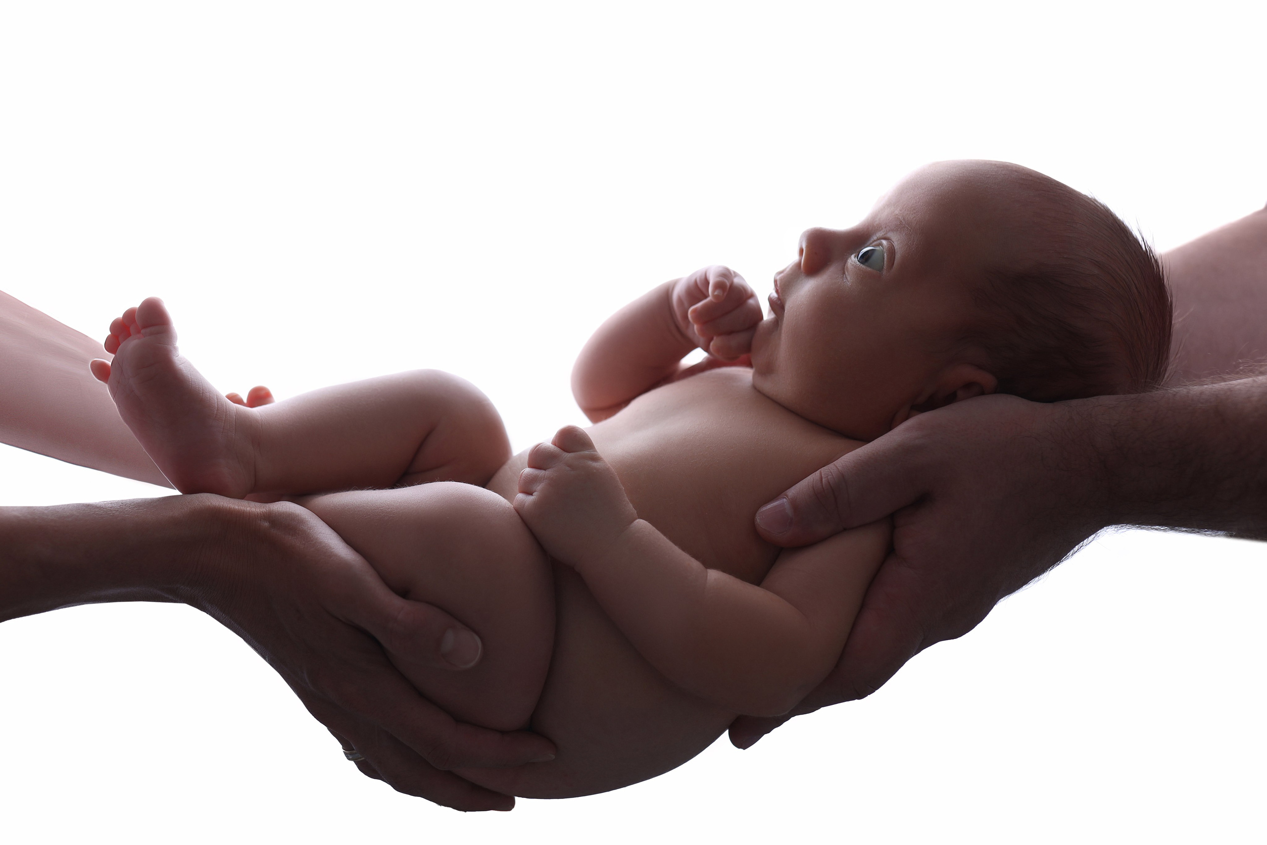 Newborn мальчики. Фотограф новорожденных Модяева Ирина