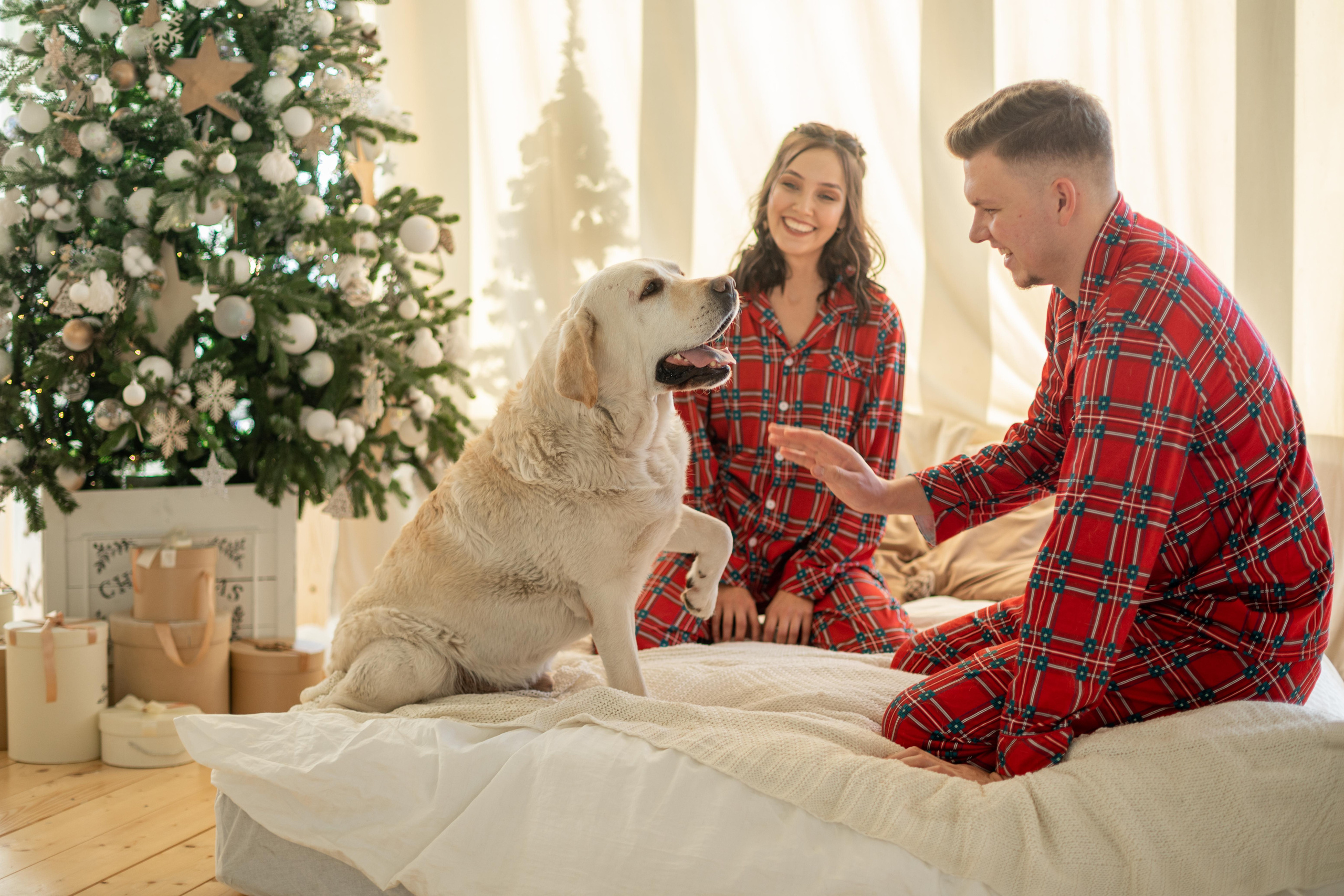 Новогодние фотоистории. Семейный фотограф Наталия Смирнова