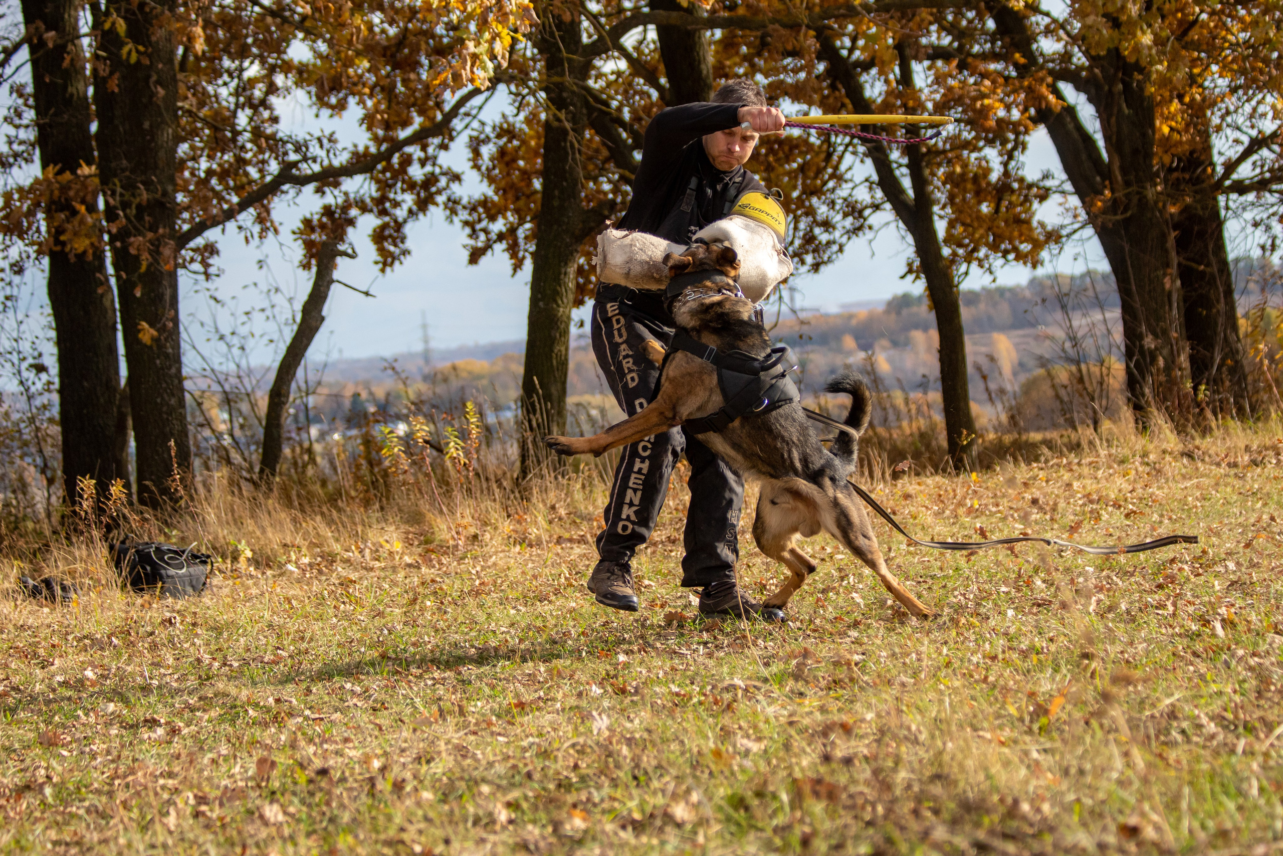 Тренинг защитного раздела. Фотограф анималист — Тула, Москва
